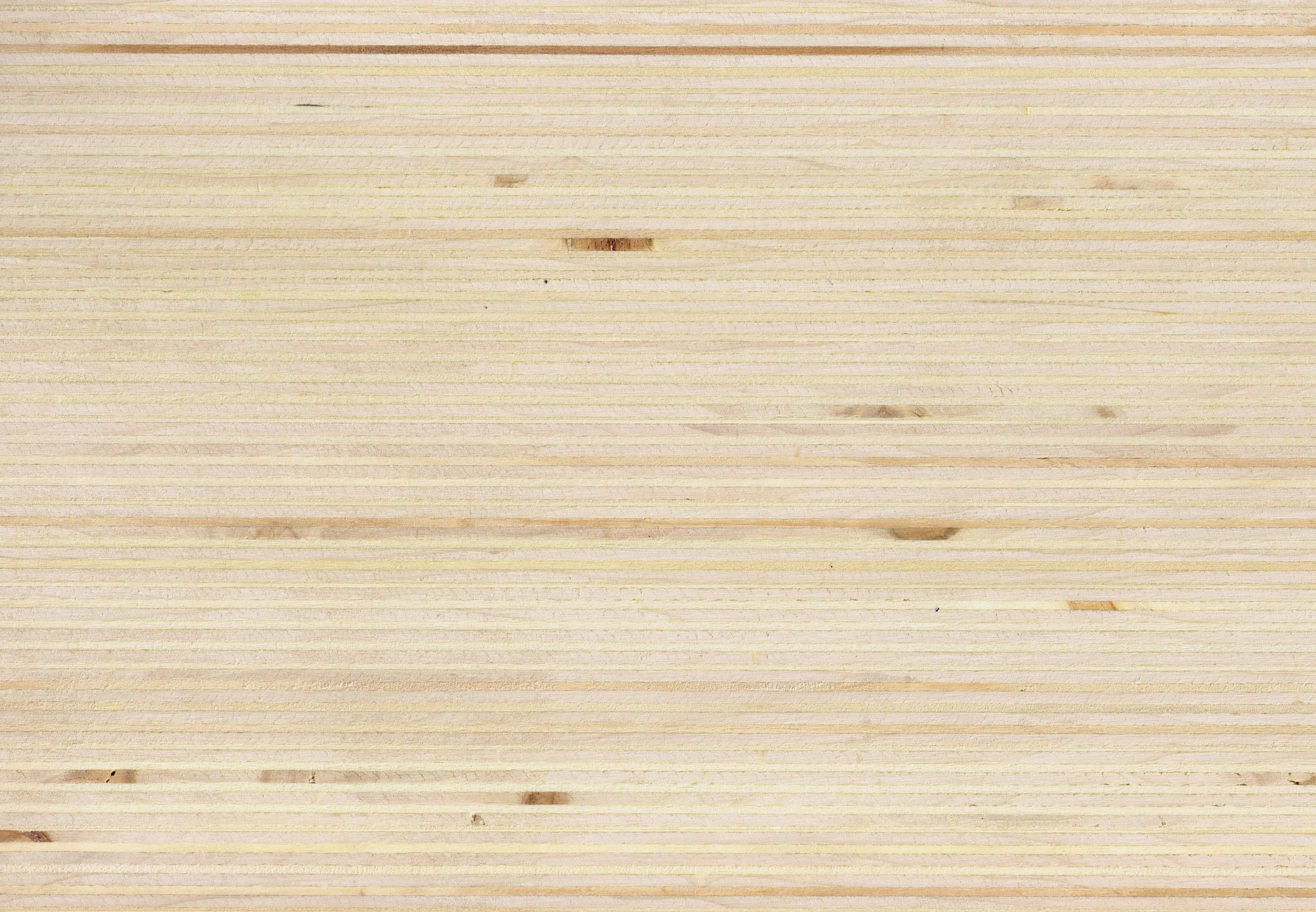 Plexwood - Plexwood - Pioppo