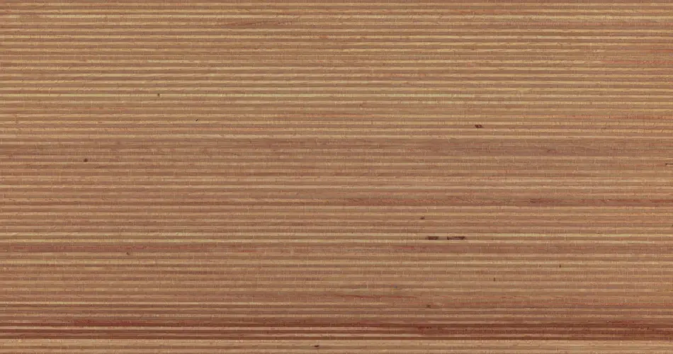 Plexwood - Plexwood - Beech