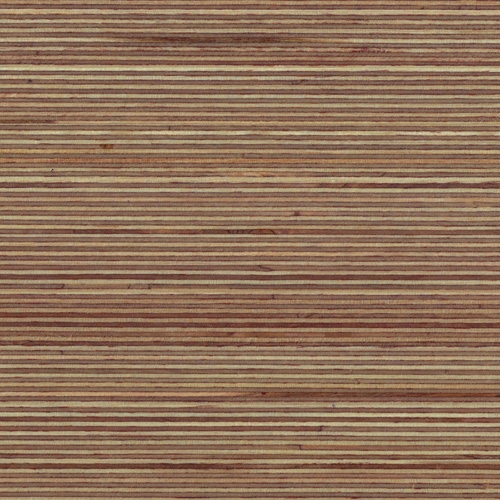 Plexwood - Birch