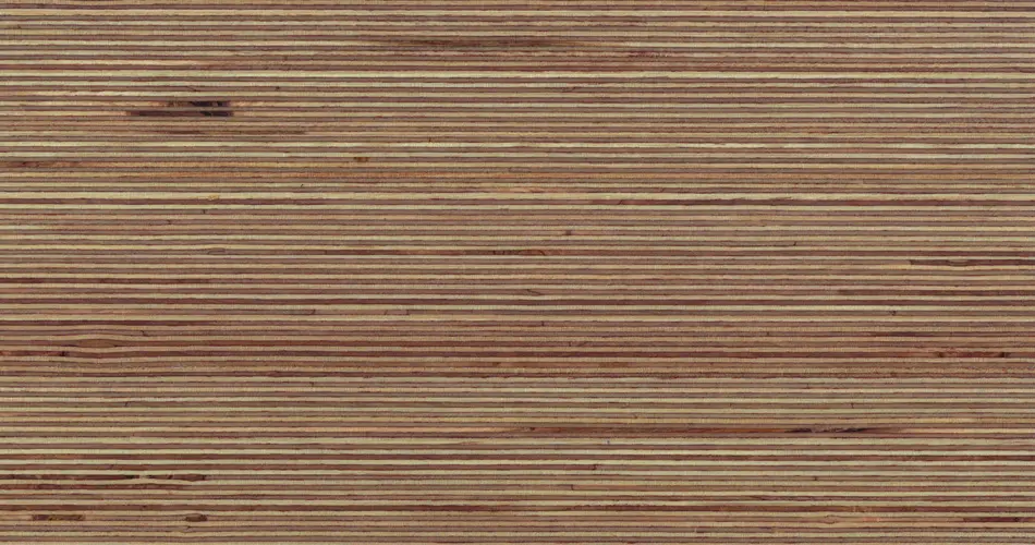 Plexwood - Plexwood - Birch