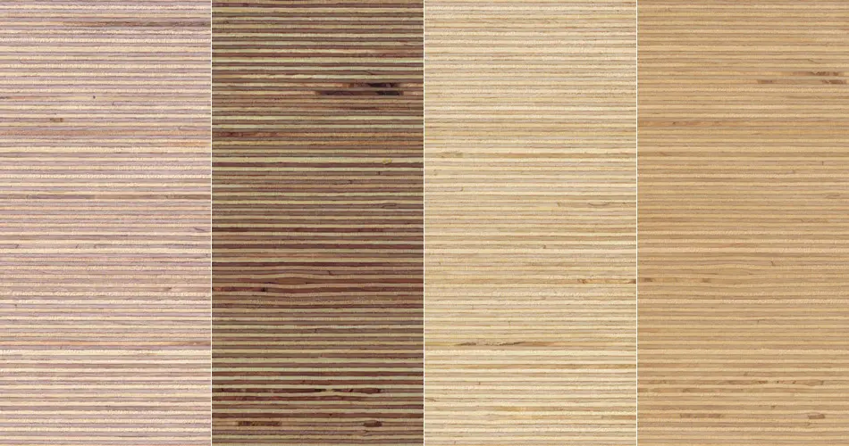 Plexwood - Plexwood - Birch