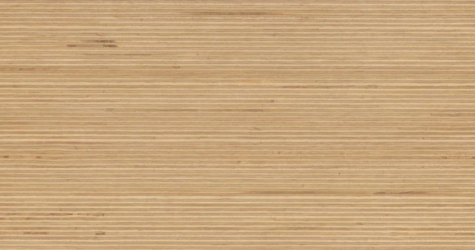 Plexwood - Plexwood - Birke