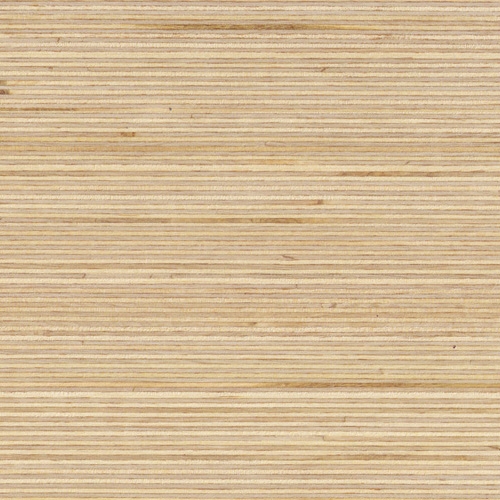 Plexwood - Birch