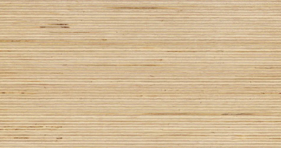 Plexwood - Plexwood - Birch