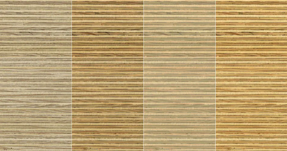 Plexwood - Plexwood - Fichte