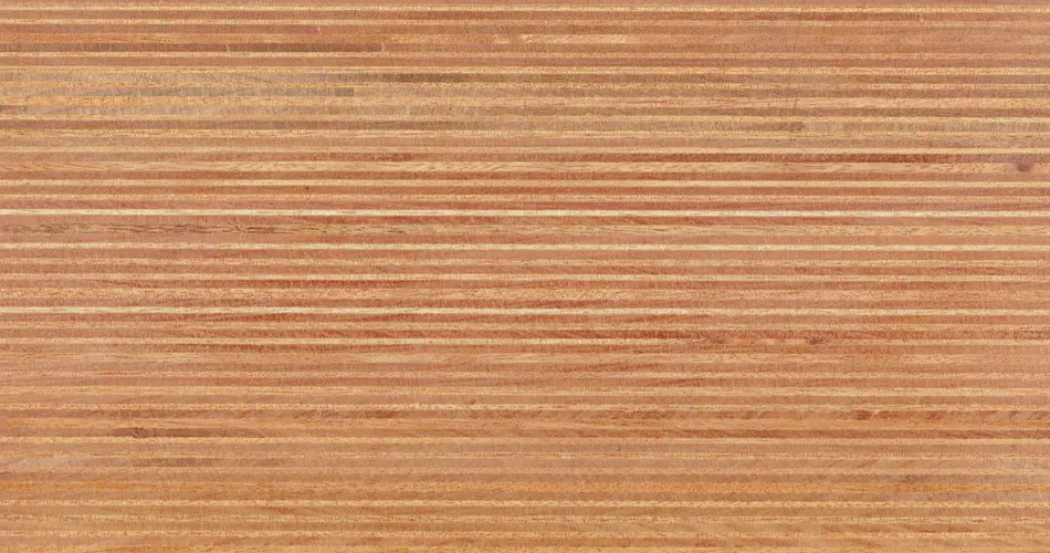 Plexwood - Plexwood - Ocume