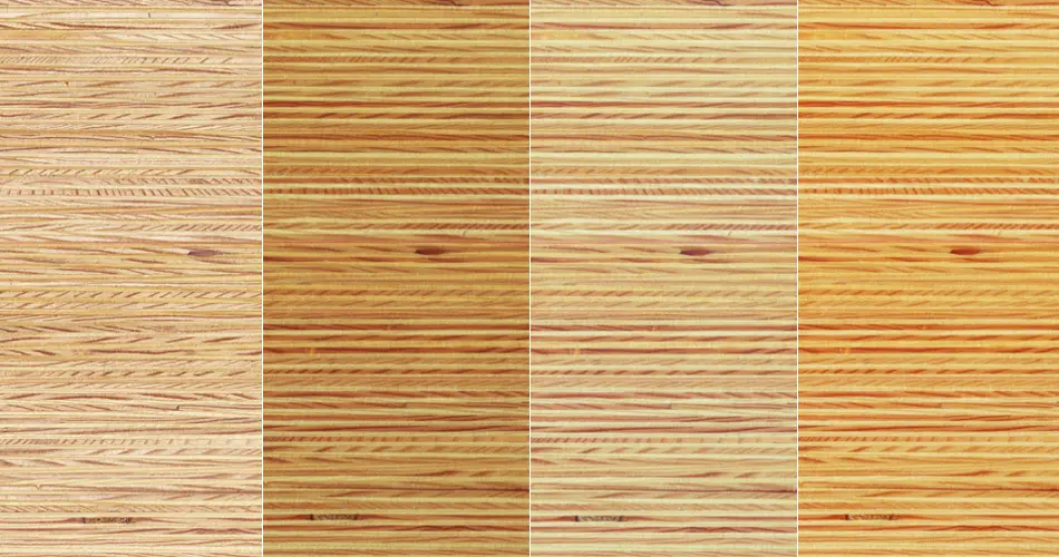 Plexwood - Plexwood - Kiefer