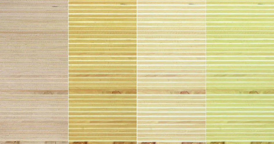 Plexwood - Plexwood - Pioppo