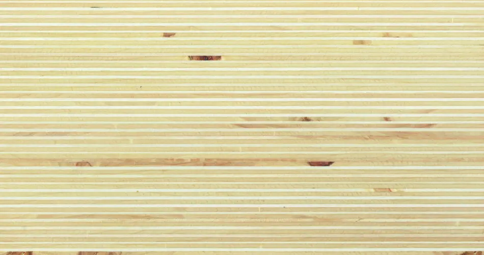 Plexwood - Plexwood - Pioppo