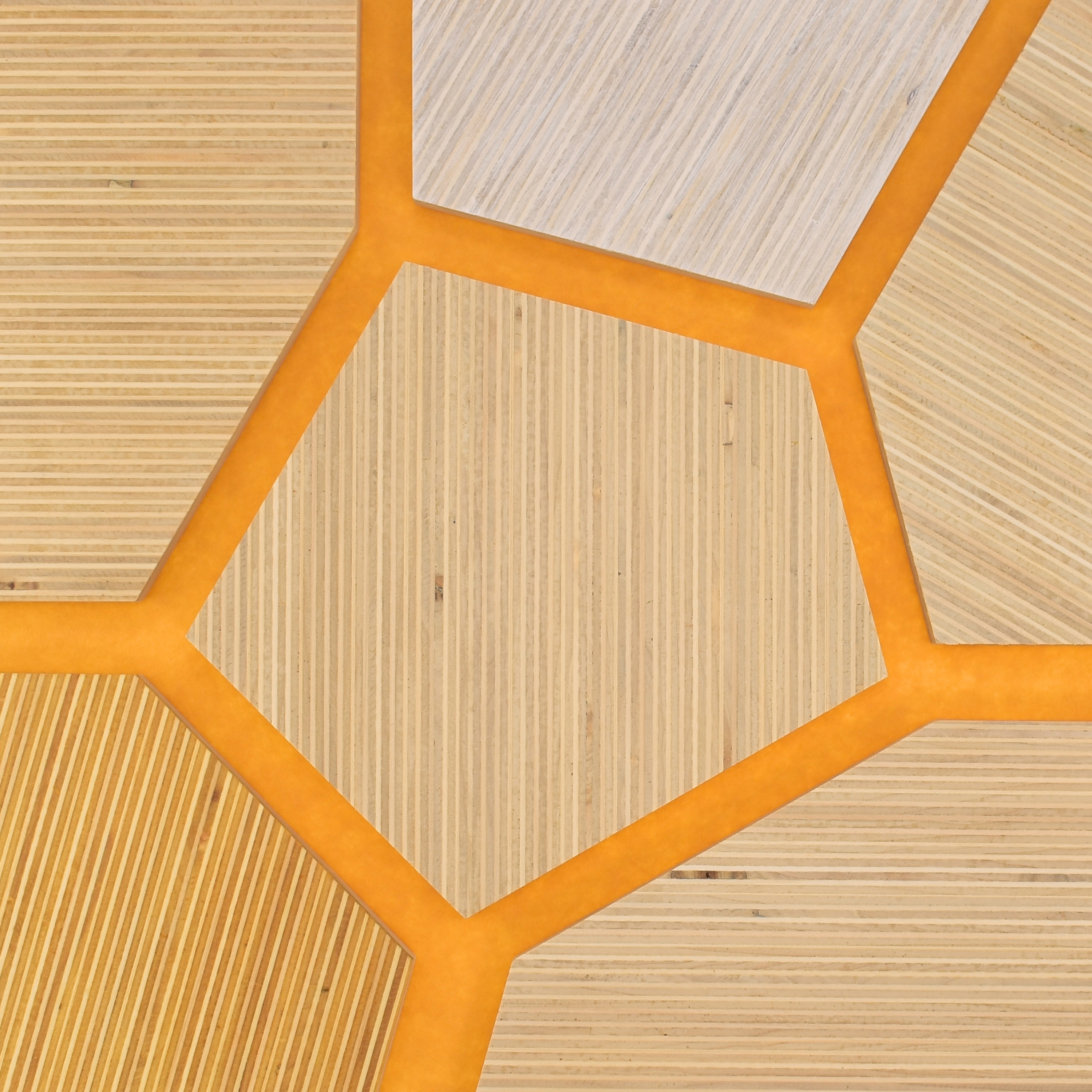 Plexwood - Poplar colour references