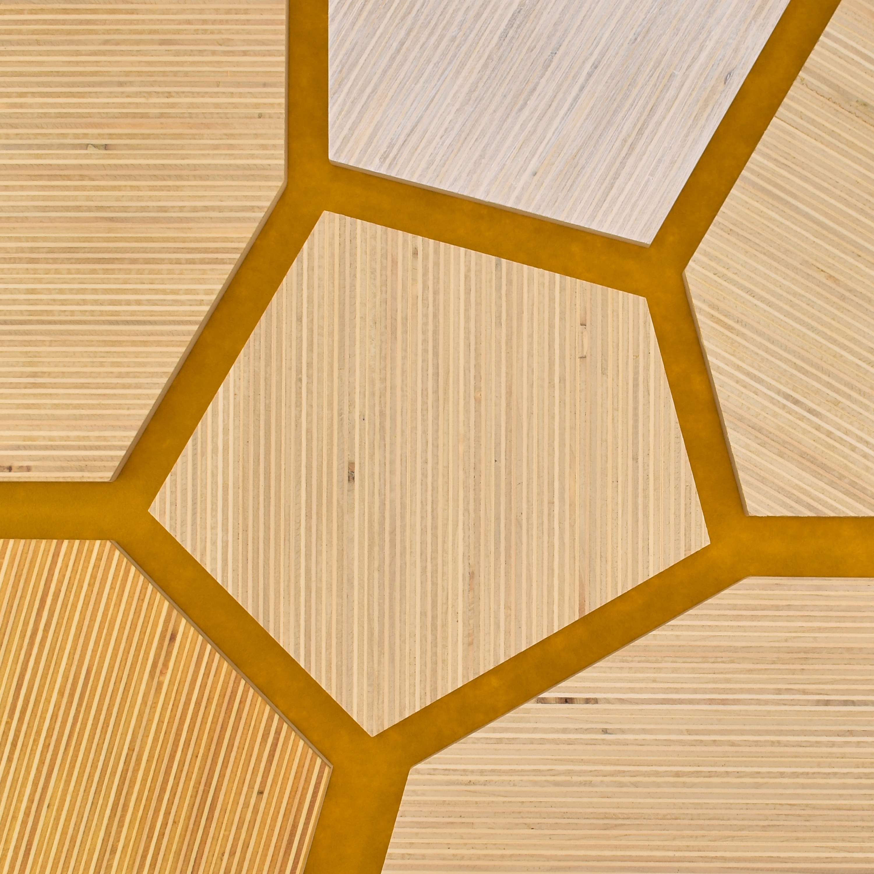 Plexwood - Poplar colour references