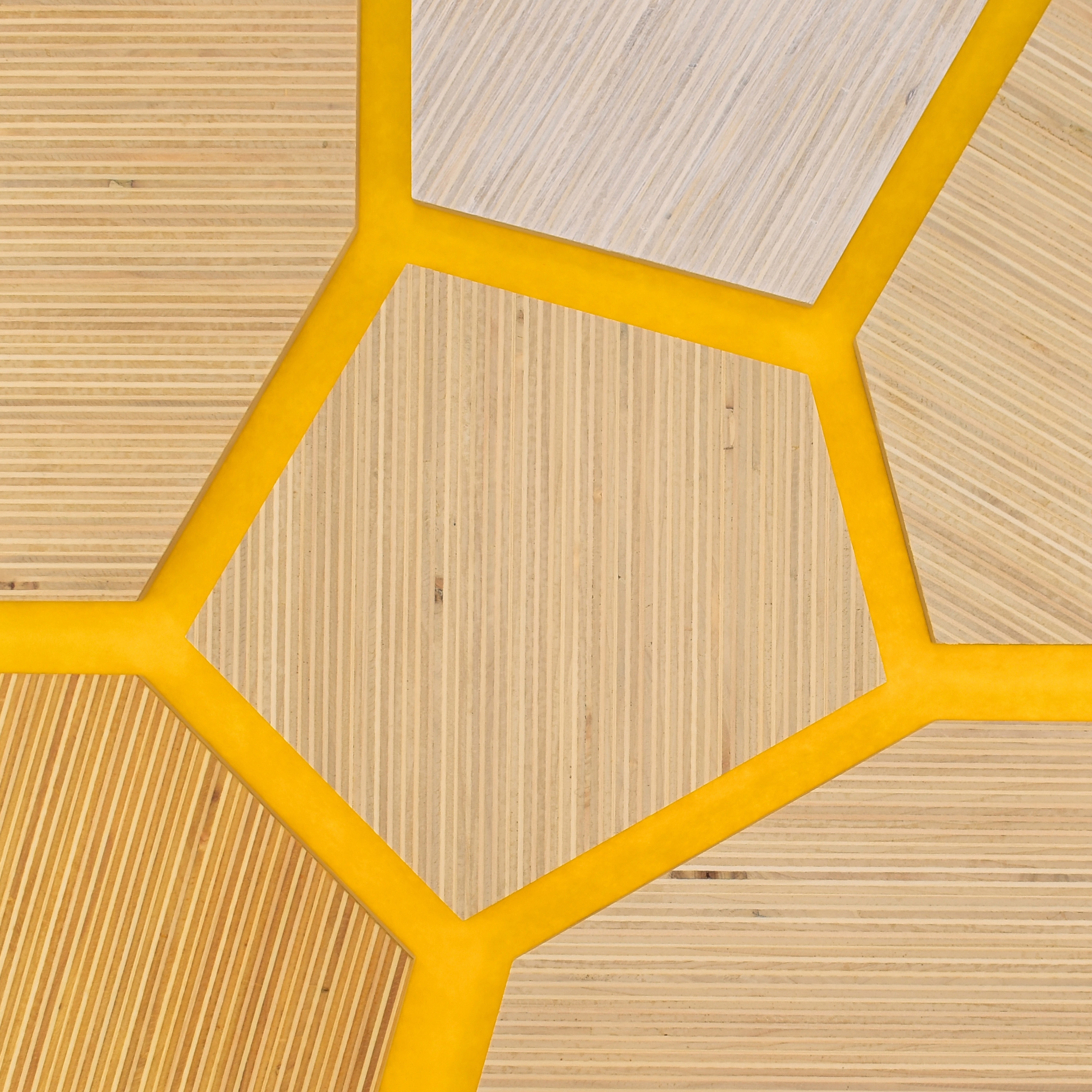 Plexwood - Poplar colour references