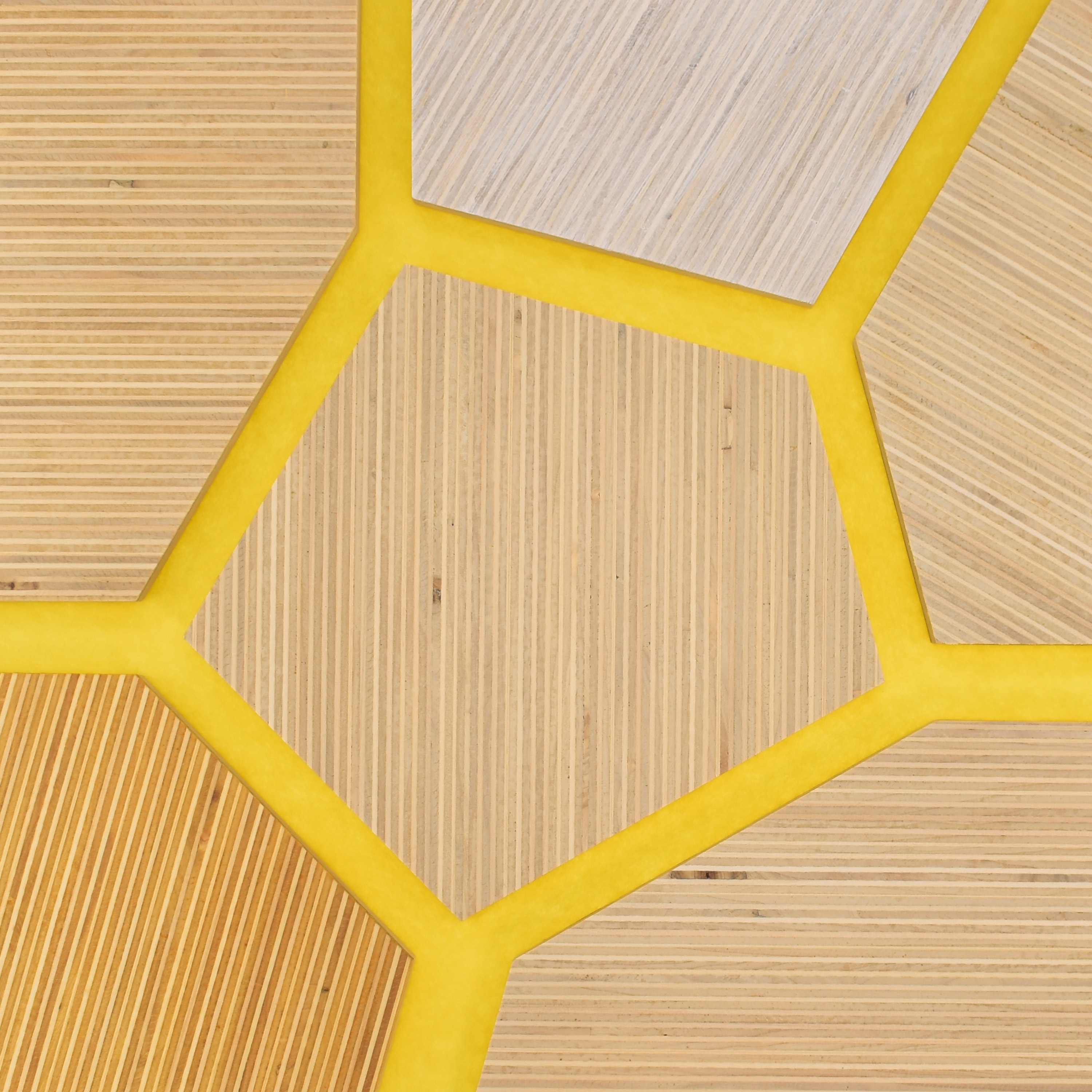 Plexwood - Poplar colour references