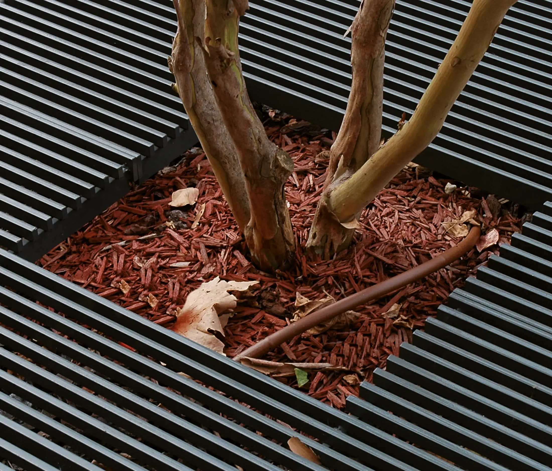 AREA - Baltimore Tree Guard