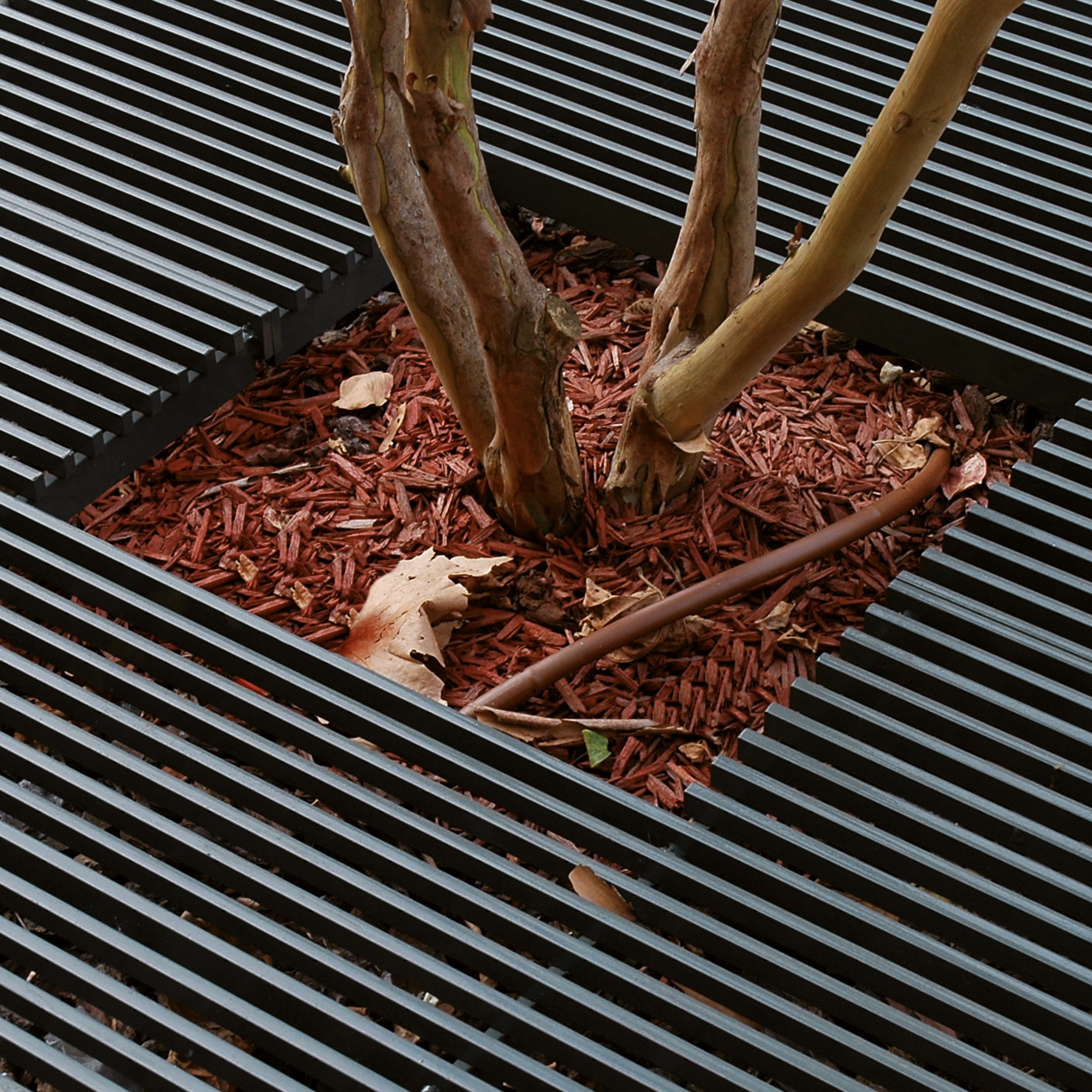 Display product Baltimore Tree Guard from manufacturer AREA