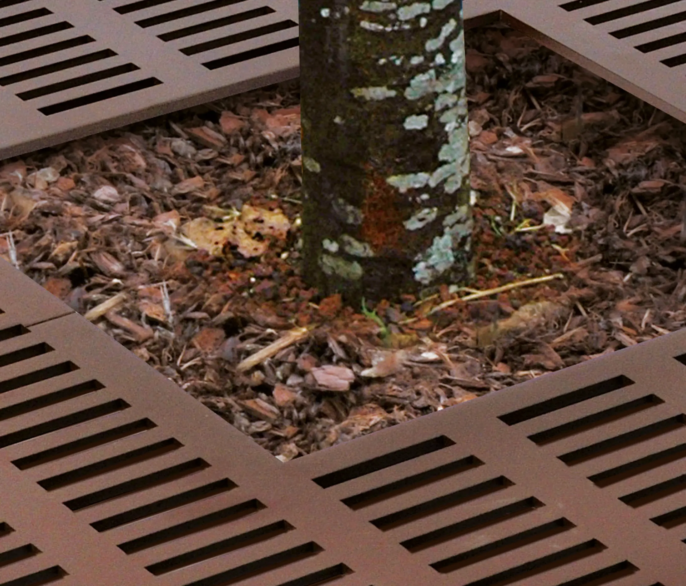 AREA - Bristol Tree Guard