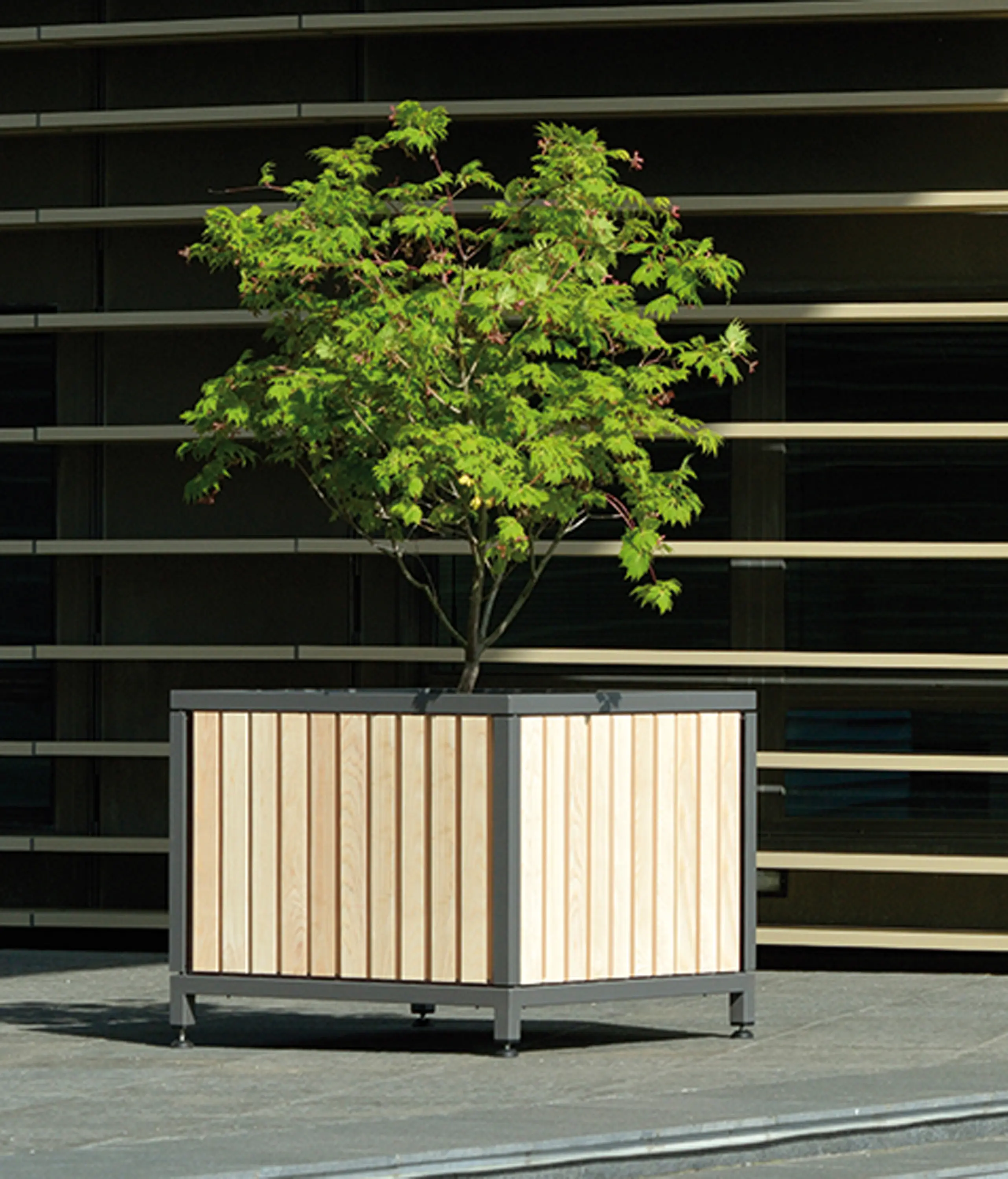 AREA - Mazagan Planter