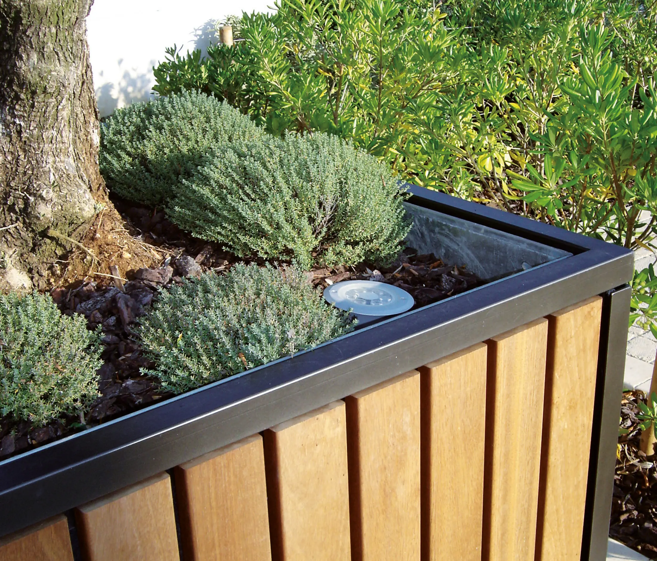 AREA - Mazagan Planter
