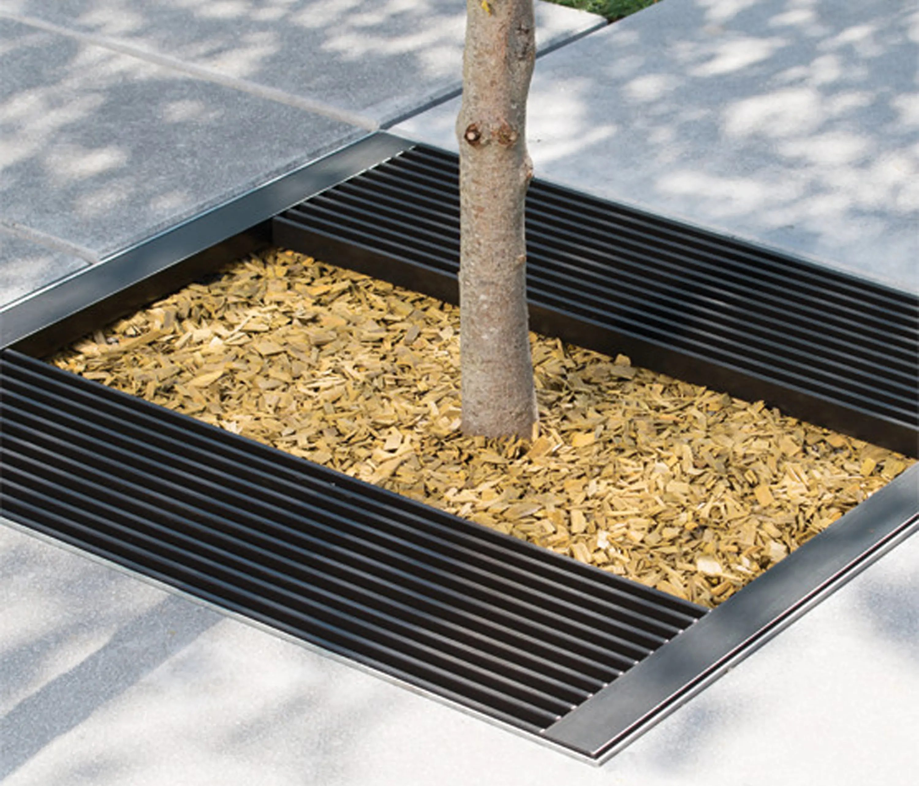 AREA - Cambridge Tree Guard