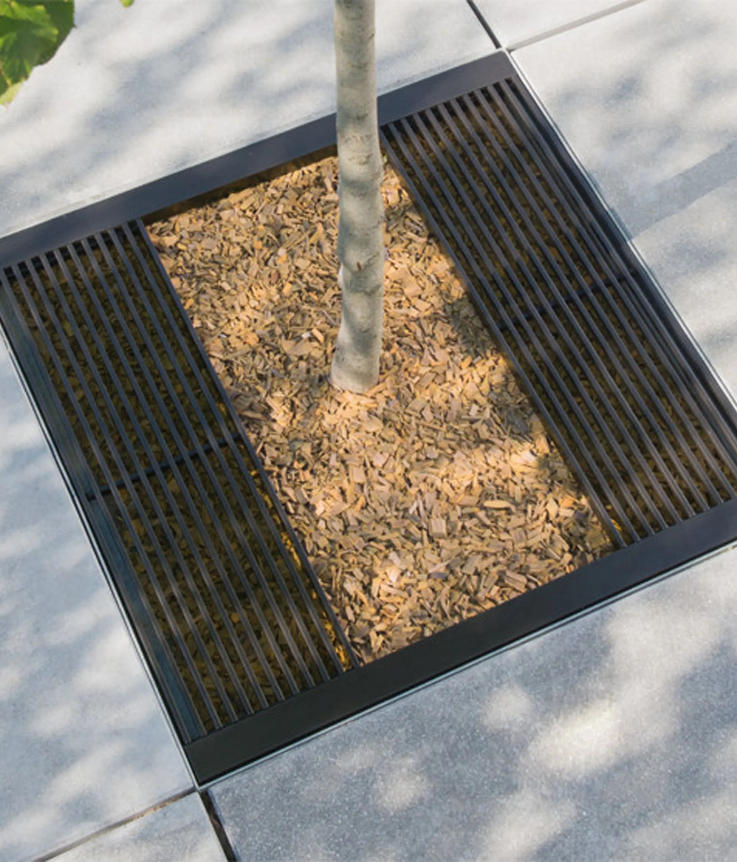 AREA - Cambridge Tree Guard