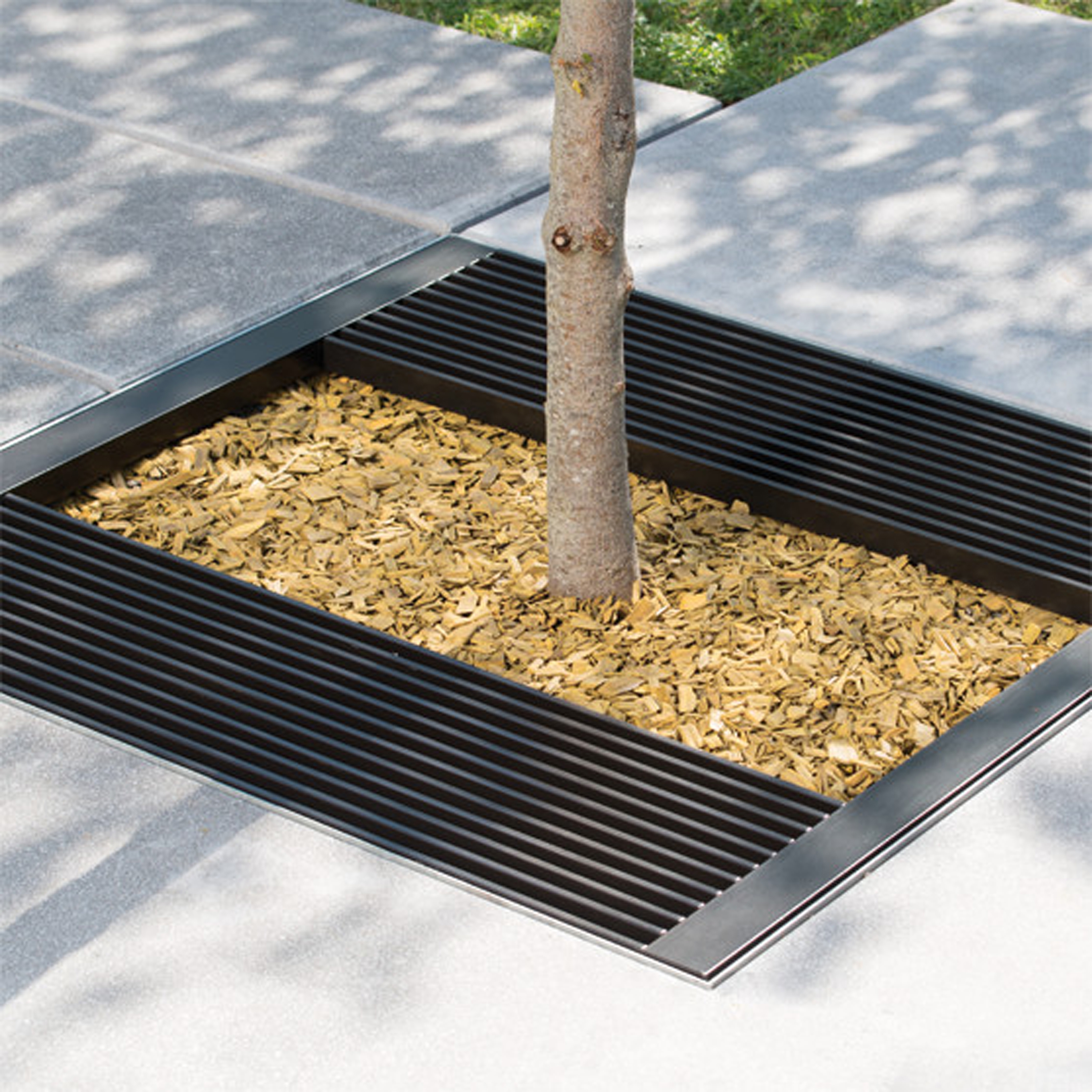Display product Cambridge Tree Guard from manufacturer AREA