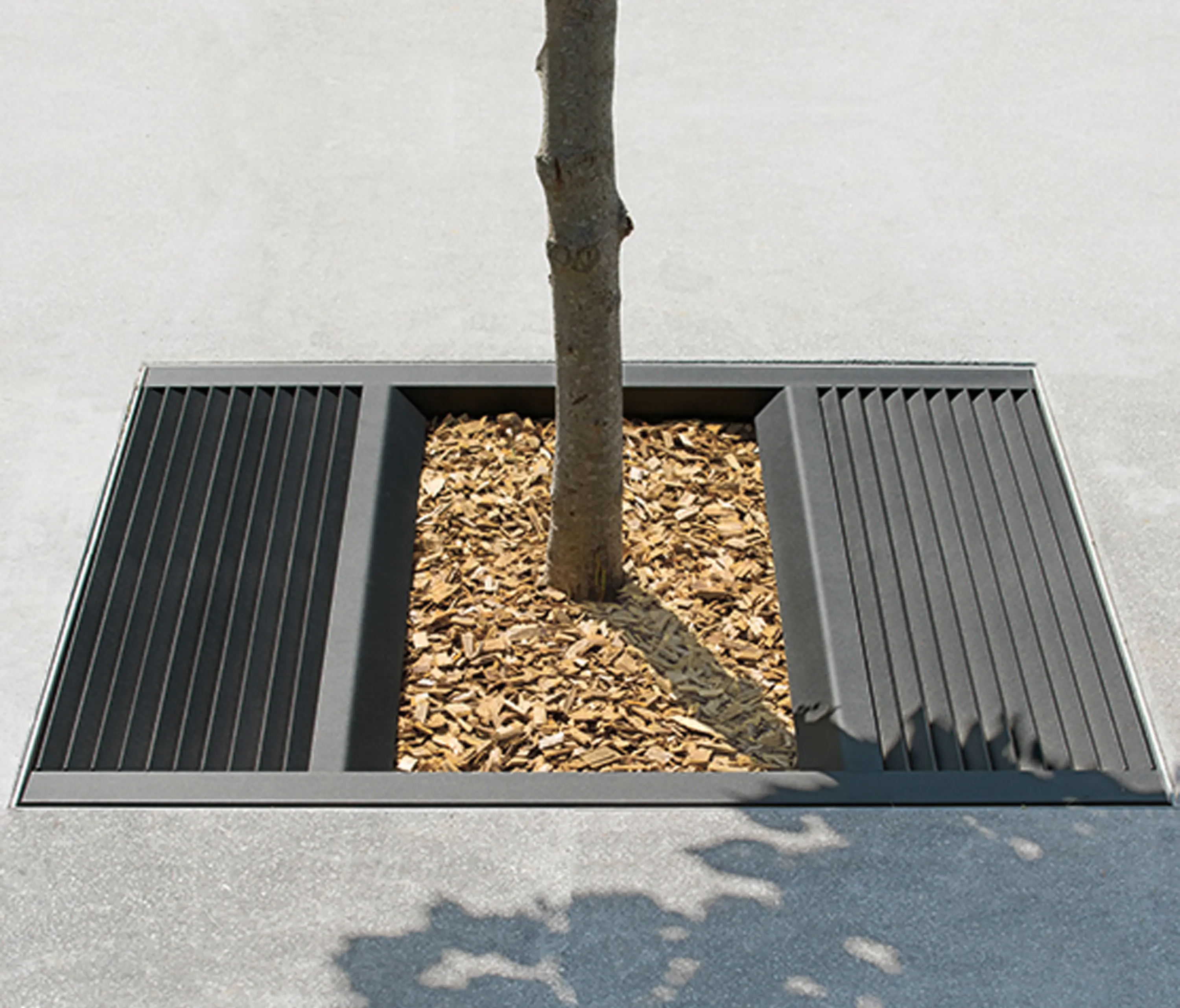 AREA - Yale Tree Guard