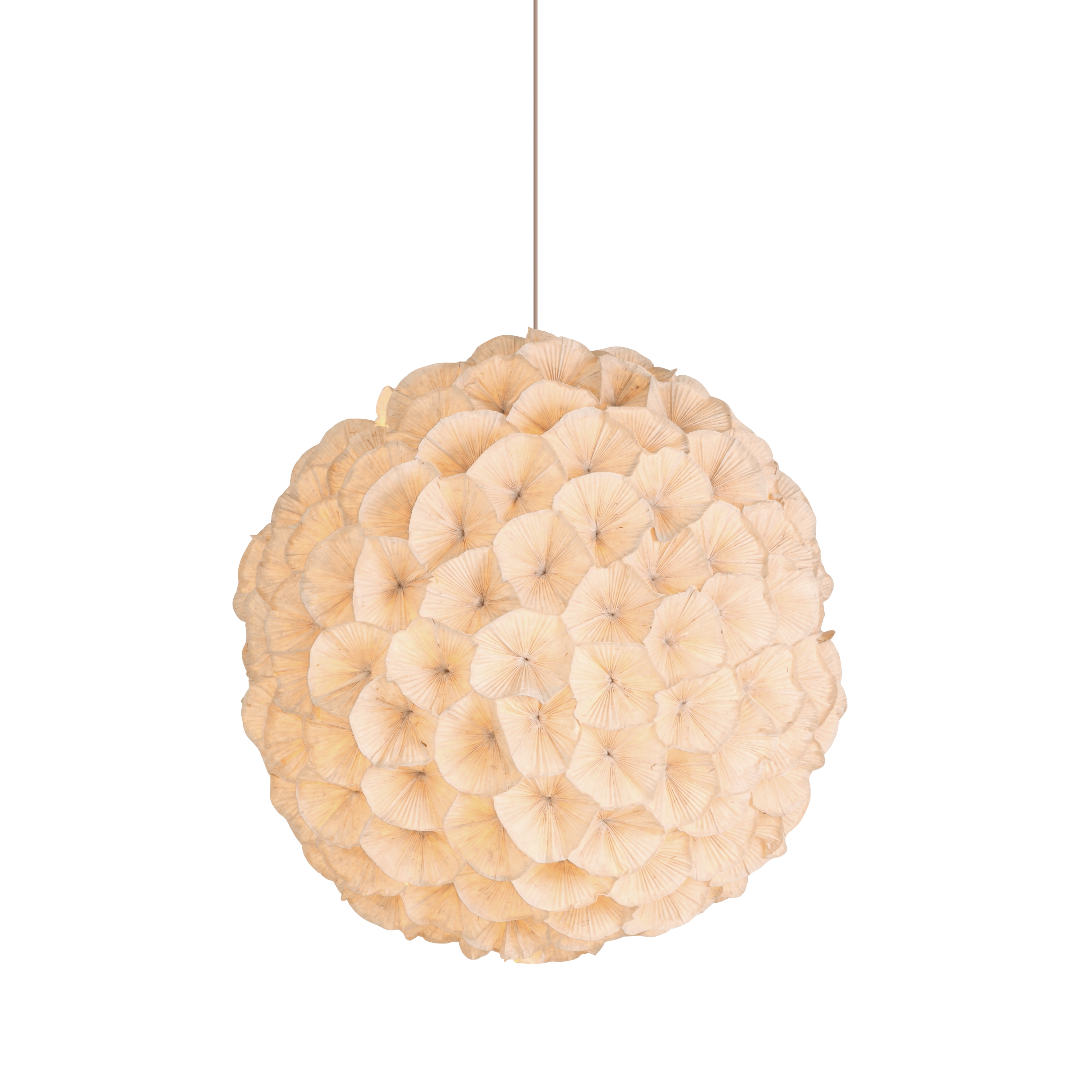 Produkt Poppy Hanging Lamp large des Herstellers Kenneth Cobonpue anzeigen