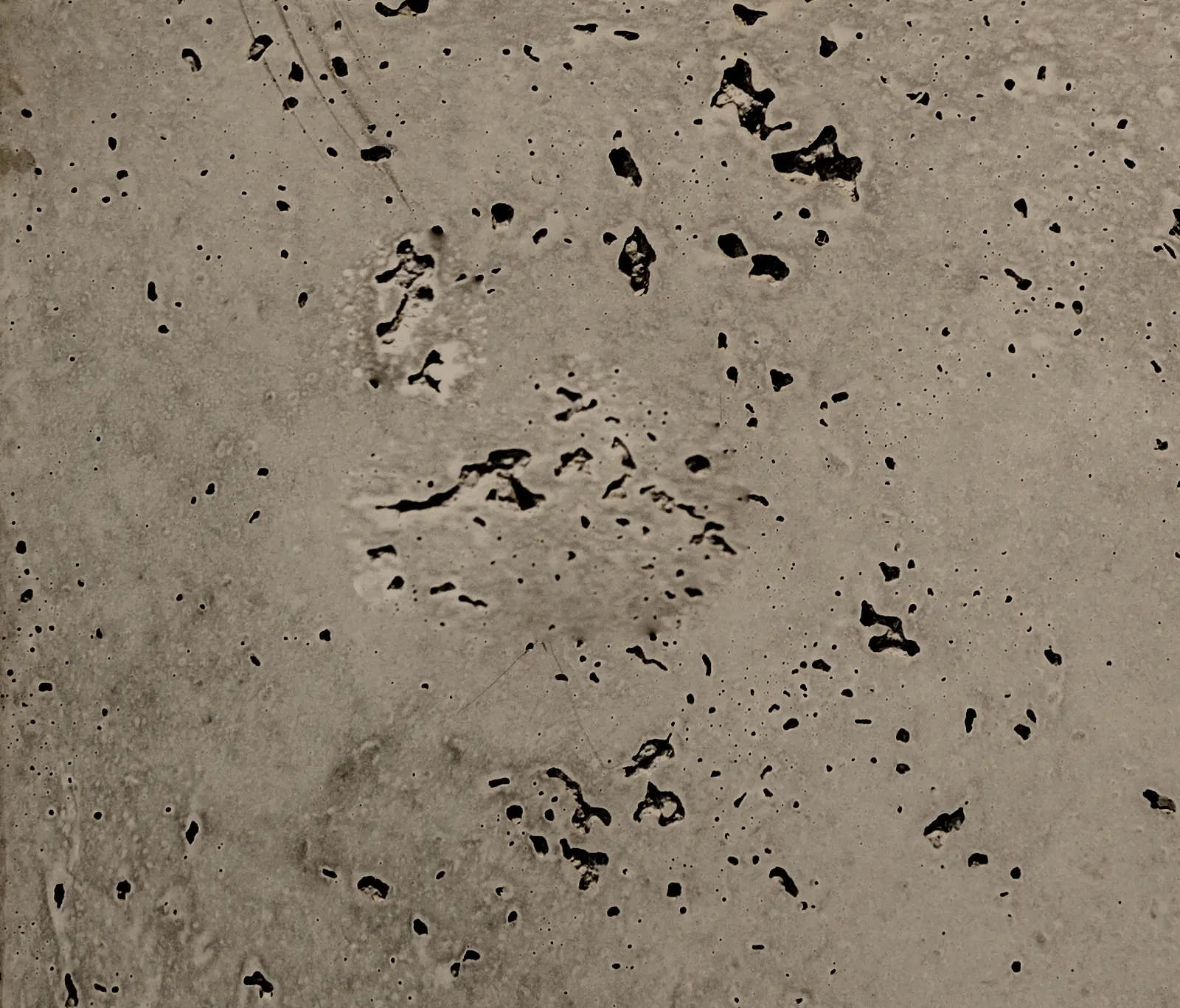 IVANKA - Porous Panel Ervin Grey