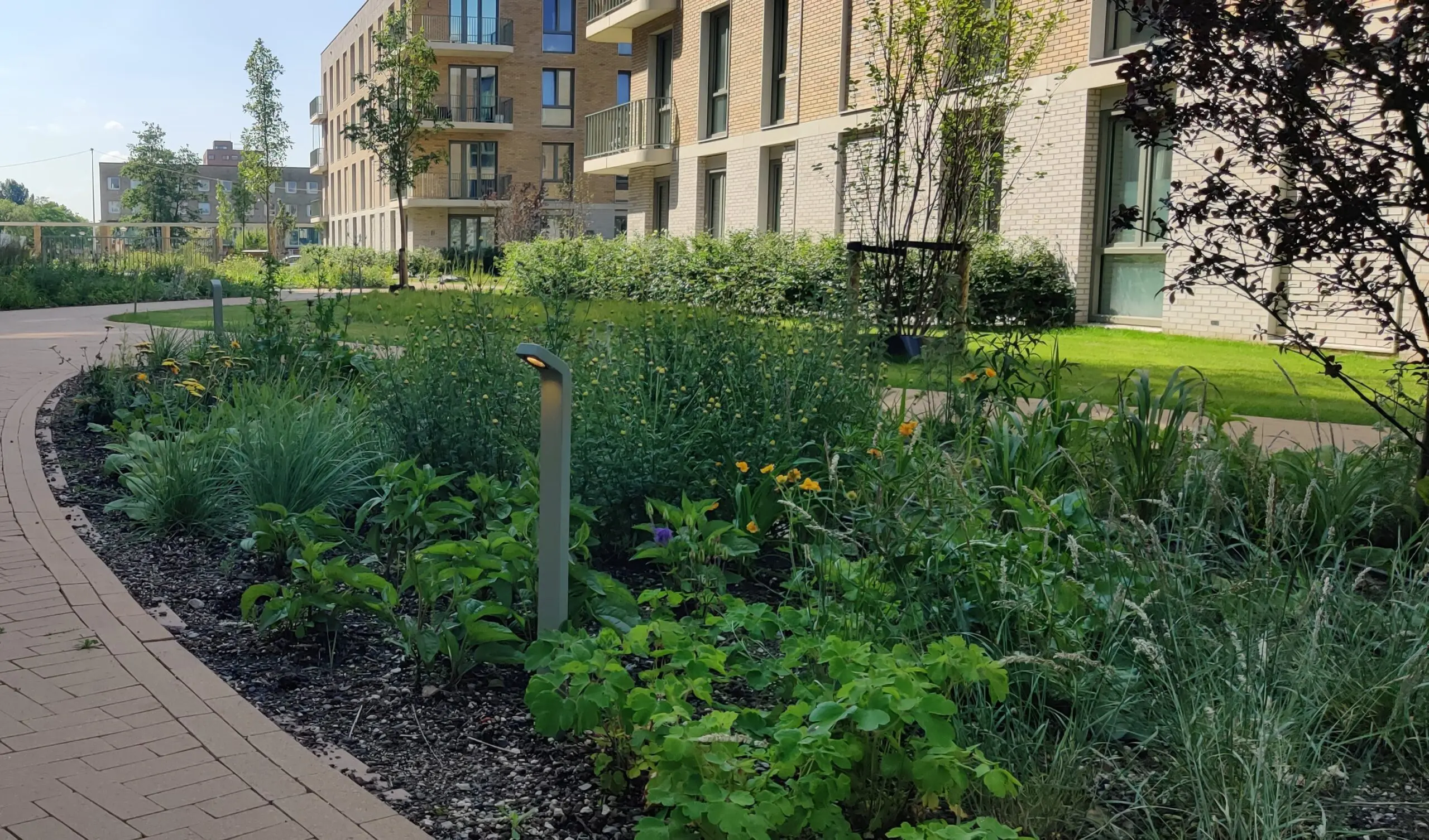 Dexter - Blade 75 Corten 24V