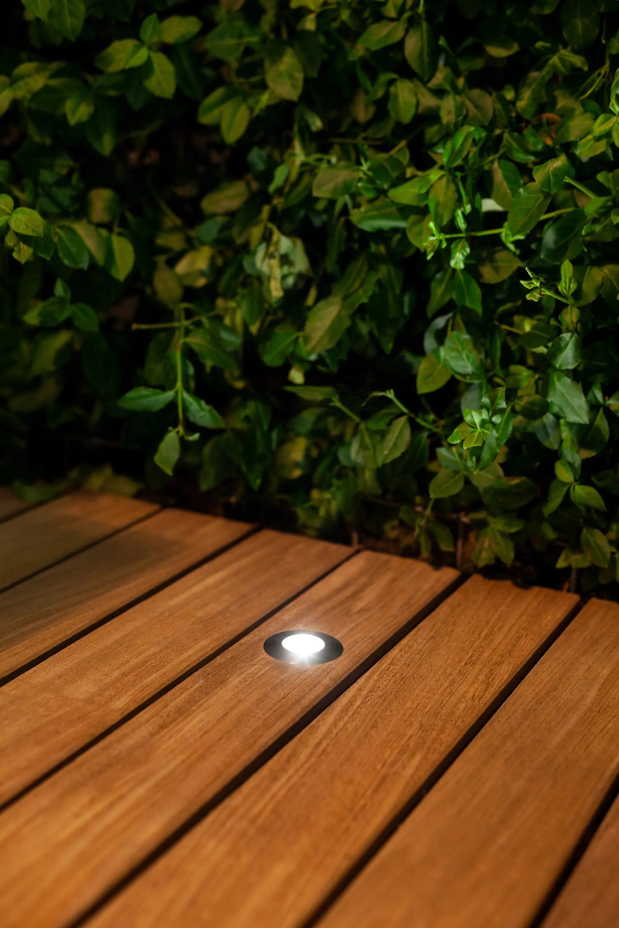 Dexter - Eos Asymentric 24V