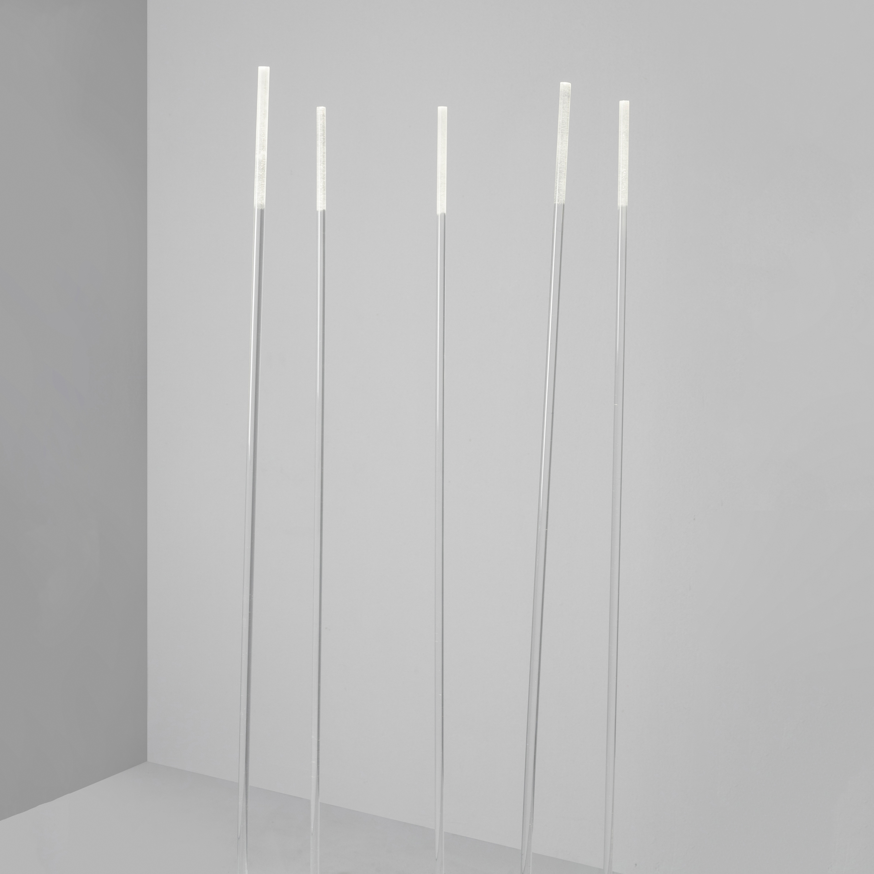 Mostra il prodotto Reed del produttore Dexter