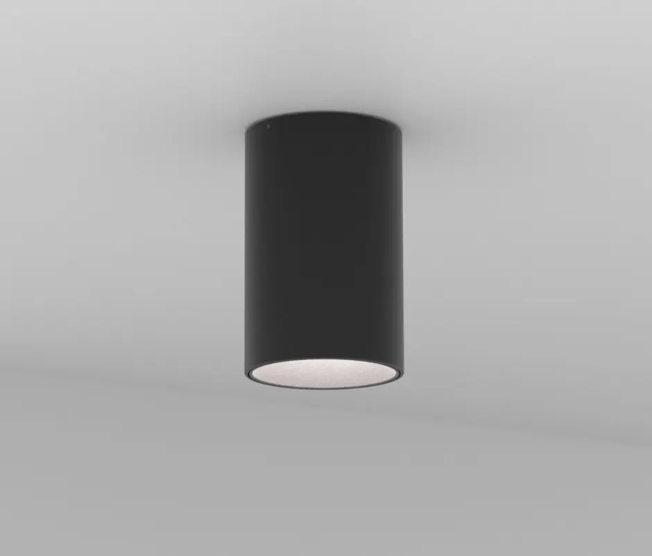 Dexter - Vector Ceiling Black