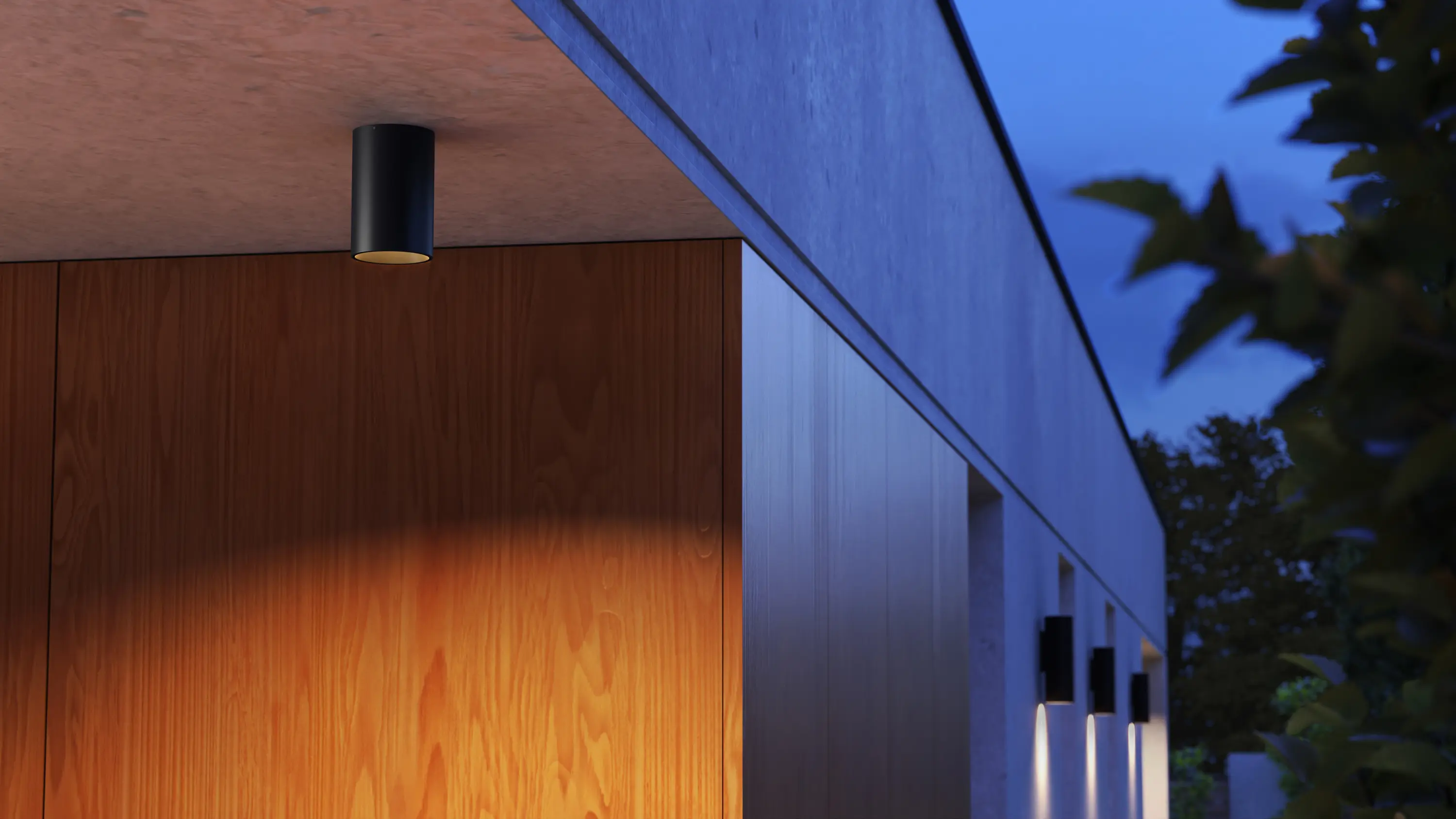 Dexter - Vector Ceiling Black