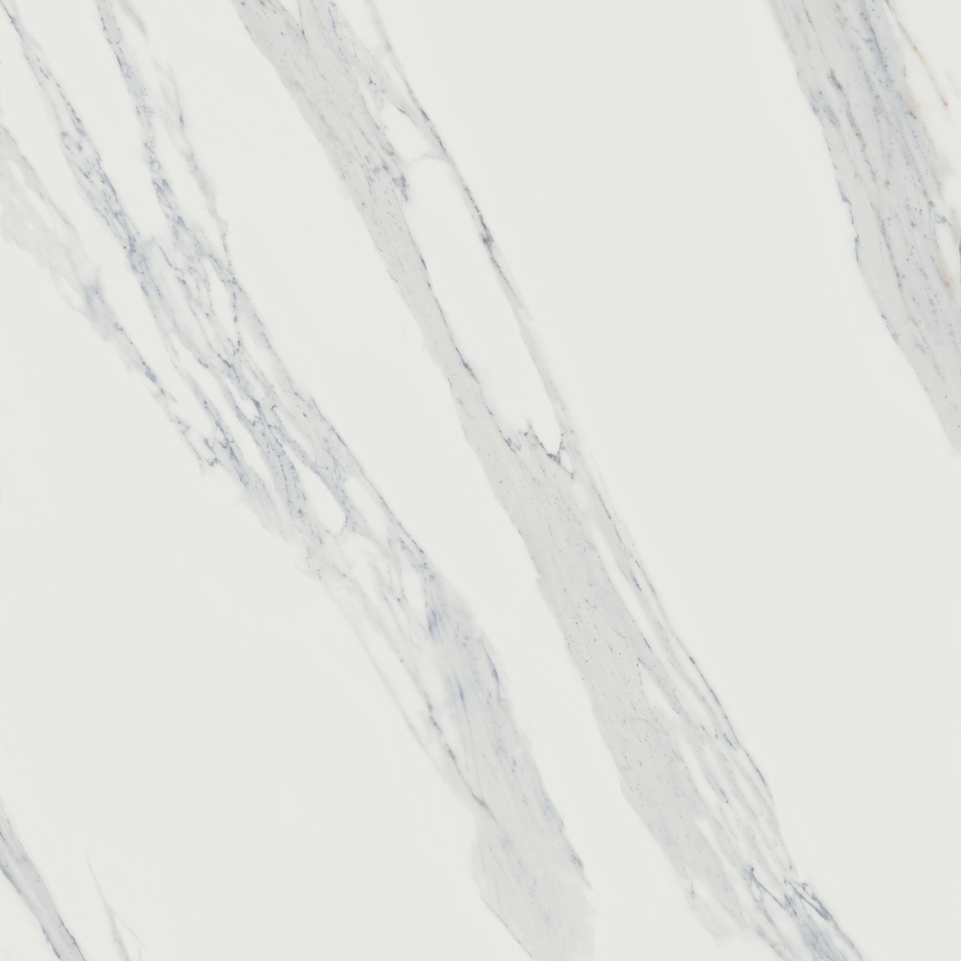 Calacatta Reale JW 02