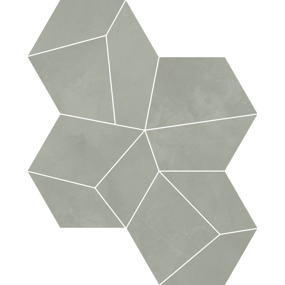 Patchy Delight CL 02