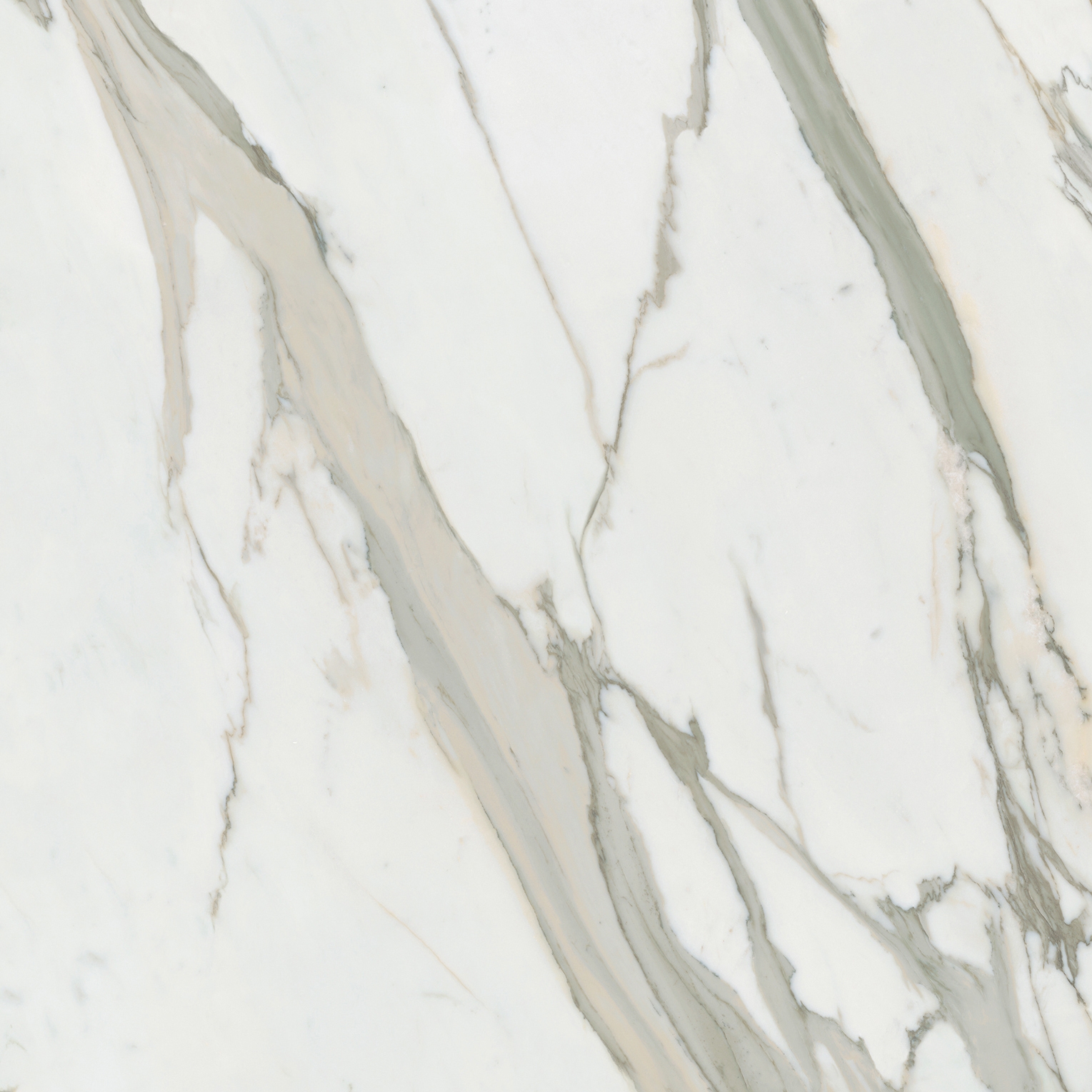 Calacatta Gold CP 02