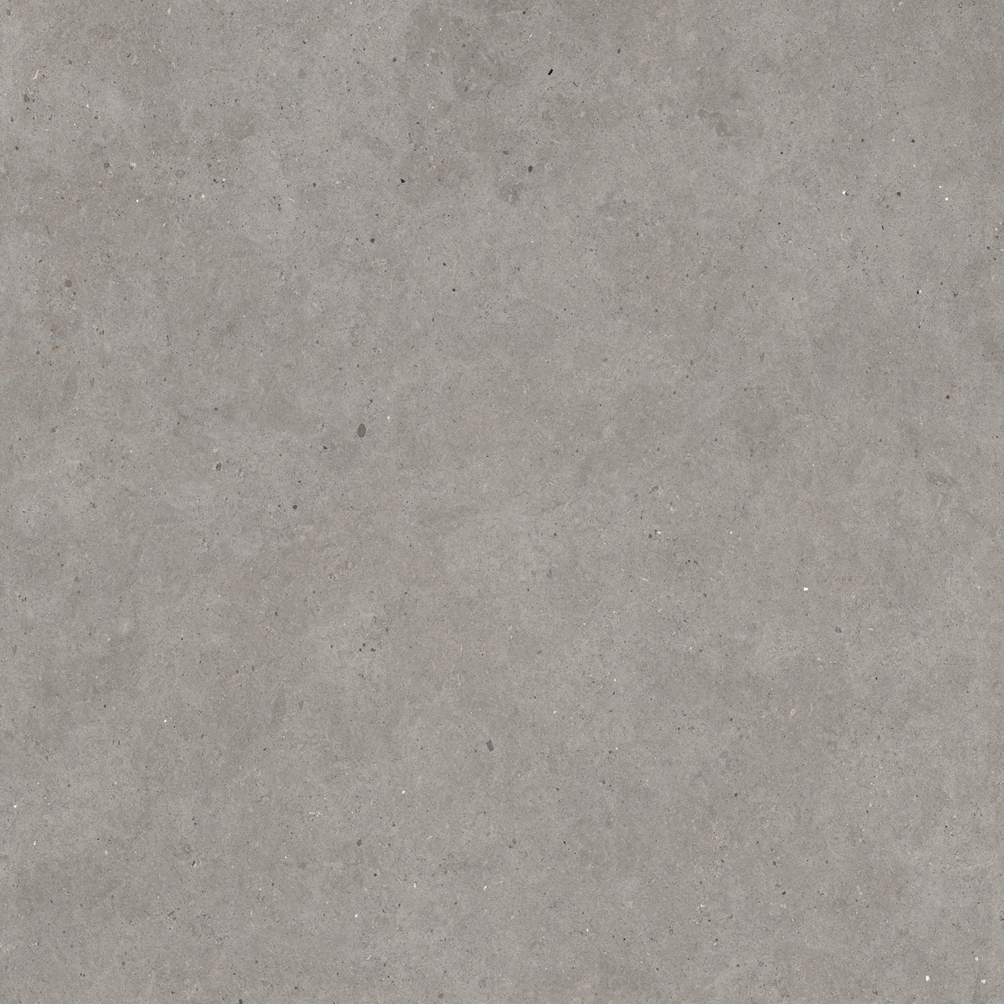 Gris Catalan EY04