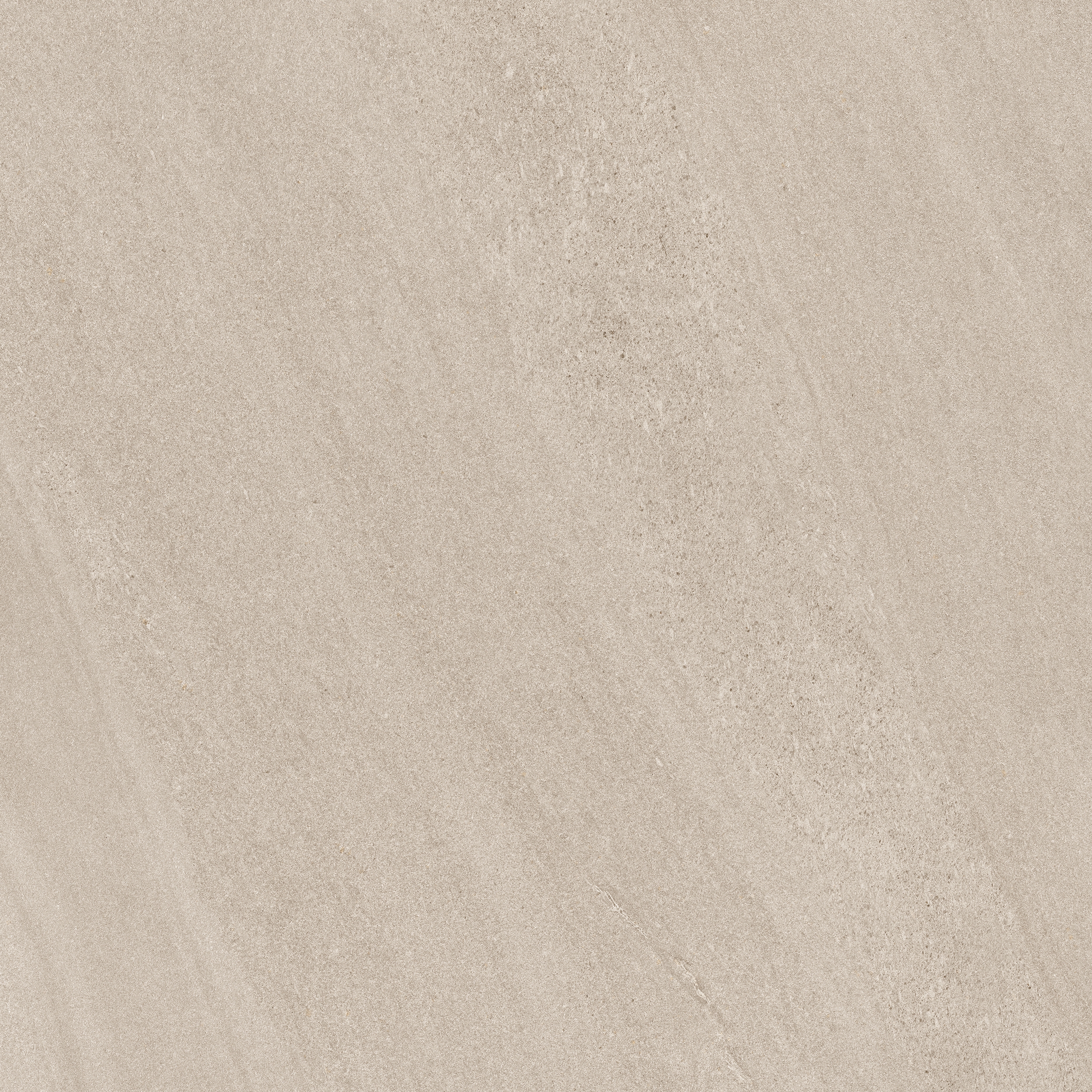 Sandshell LG 02