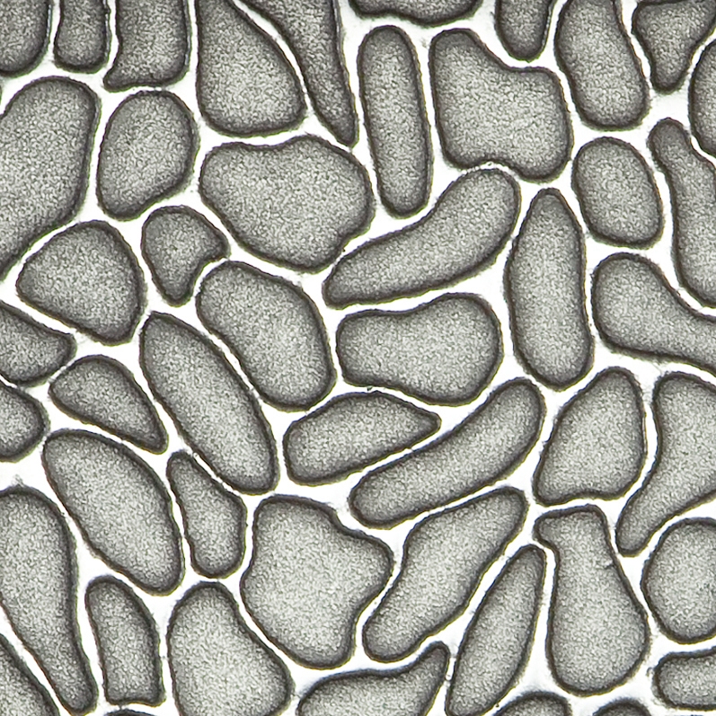 Mostra il prodotto Texture | cells del produttore VEROB