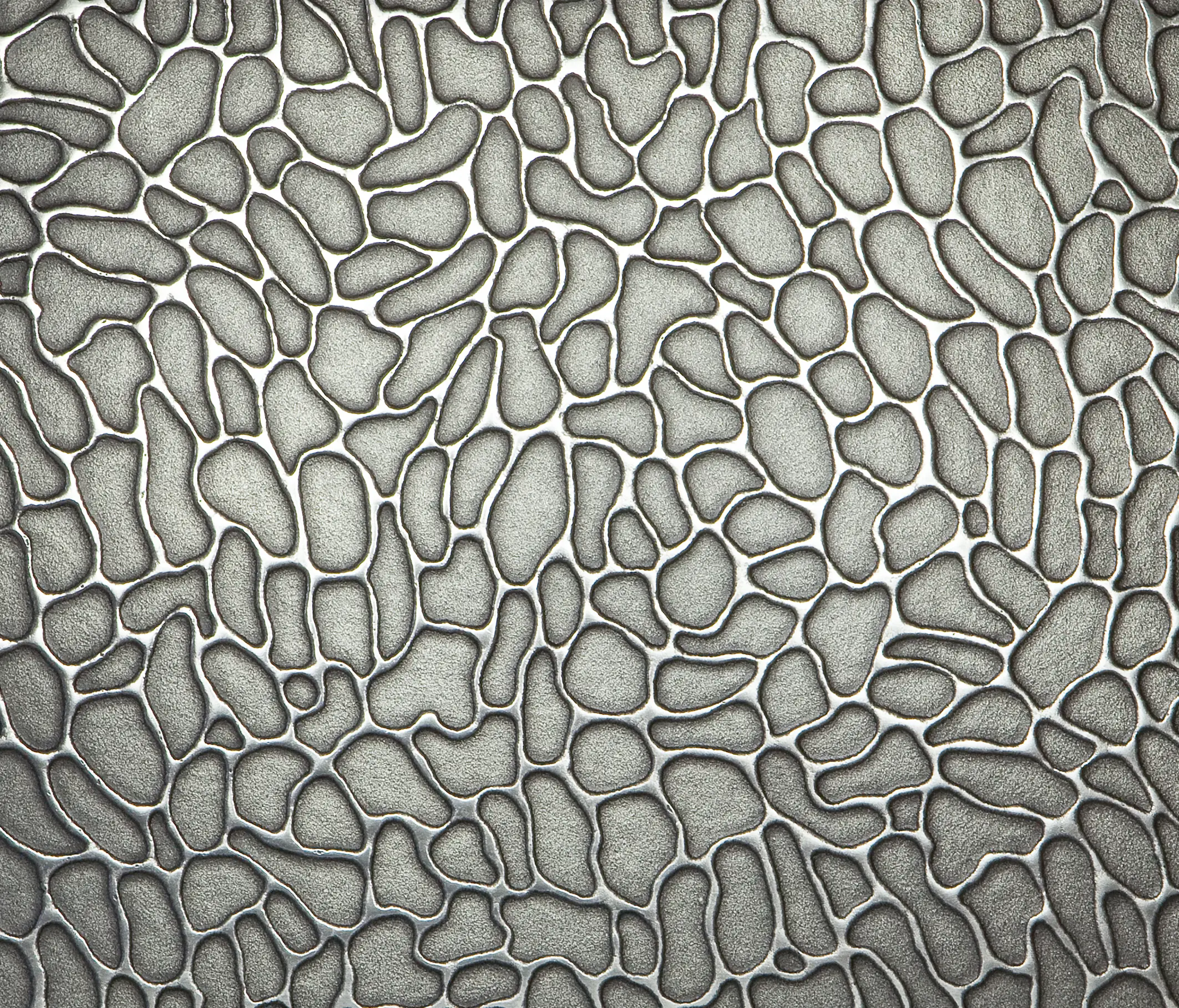 VEROB - Texture | cells
