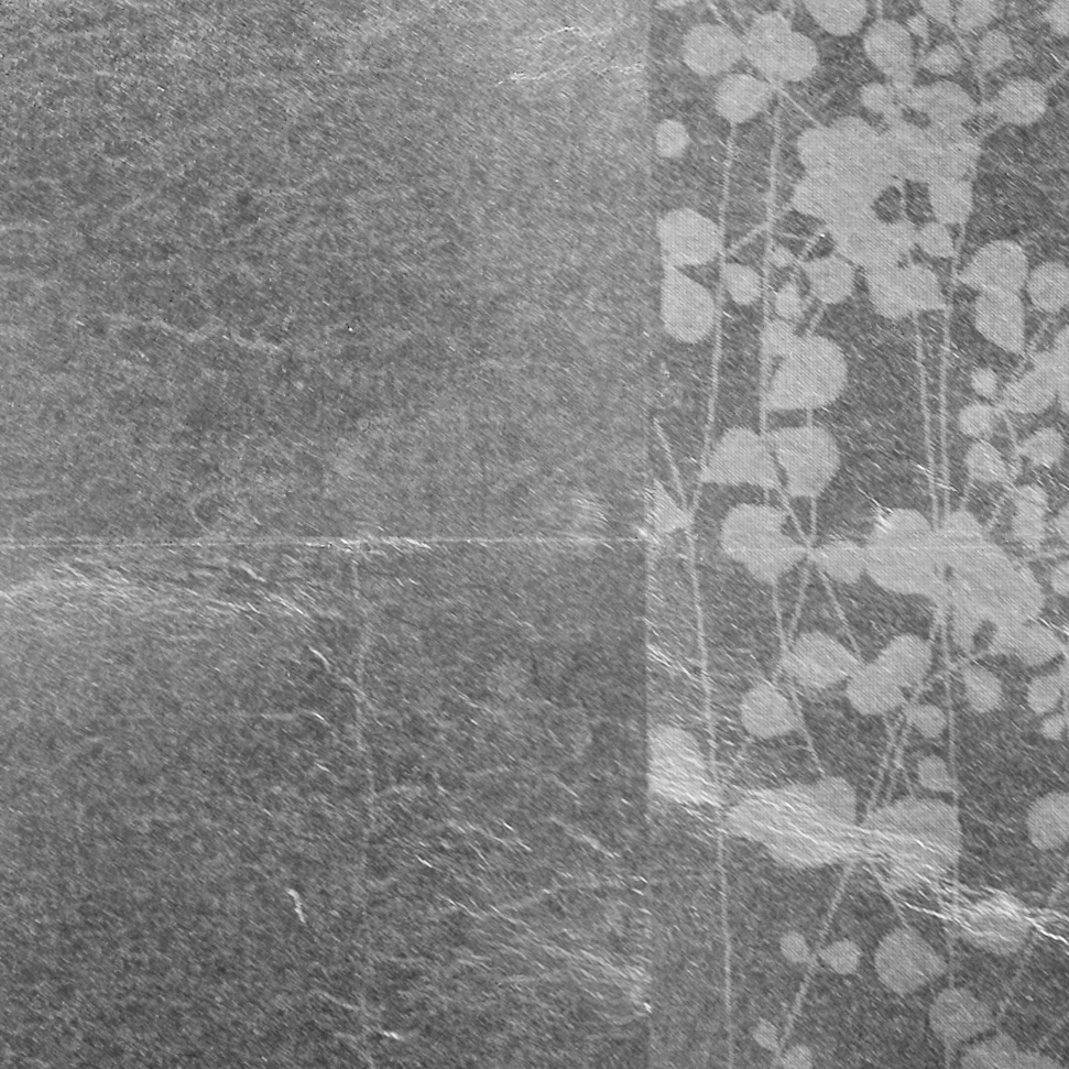 Display product Leaf metal allocation | layered grid satined frieze sprigs from manufacturer VEROB