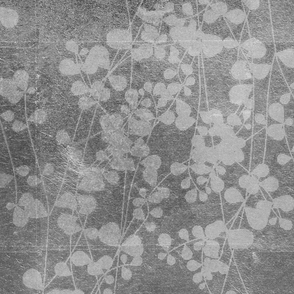 Display product Leaf metal allocation | layered grid sprigs from manufacturer VEROB