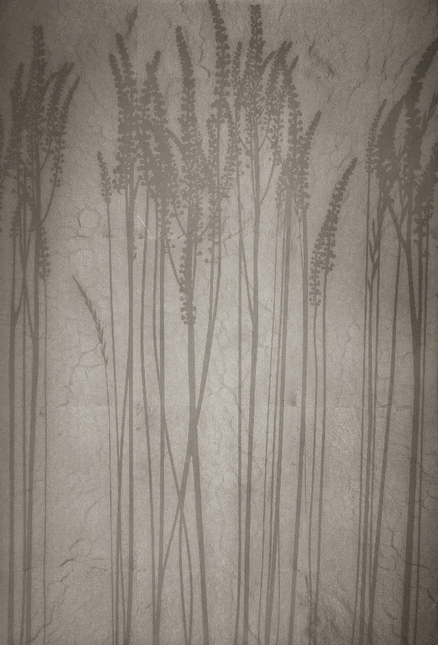 VEROB - Leaf metal allocation | grasses