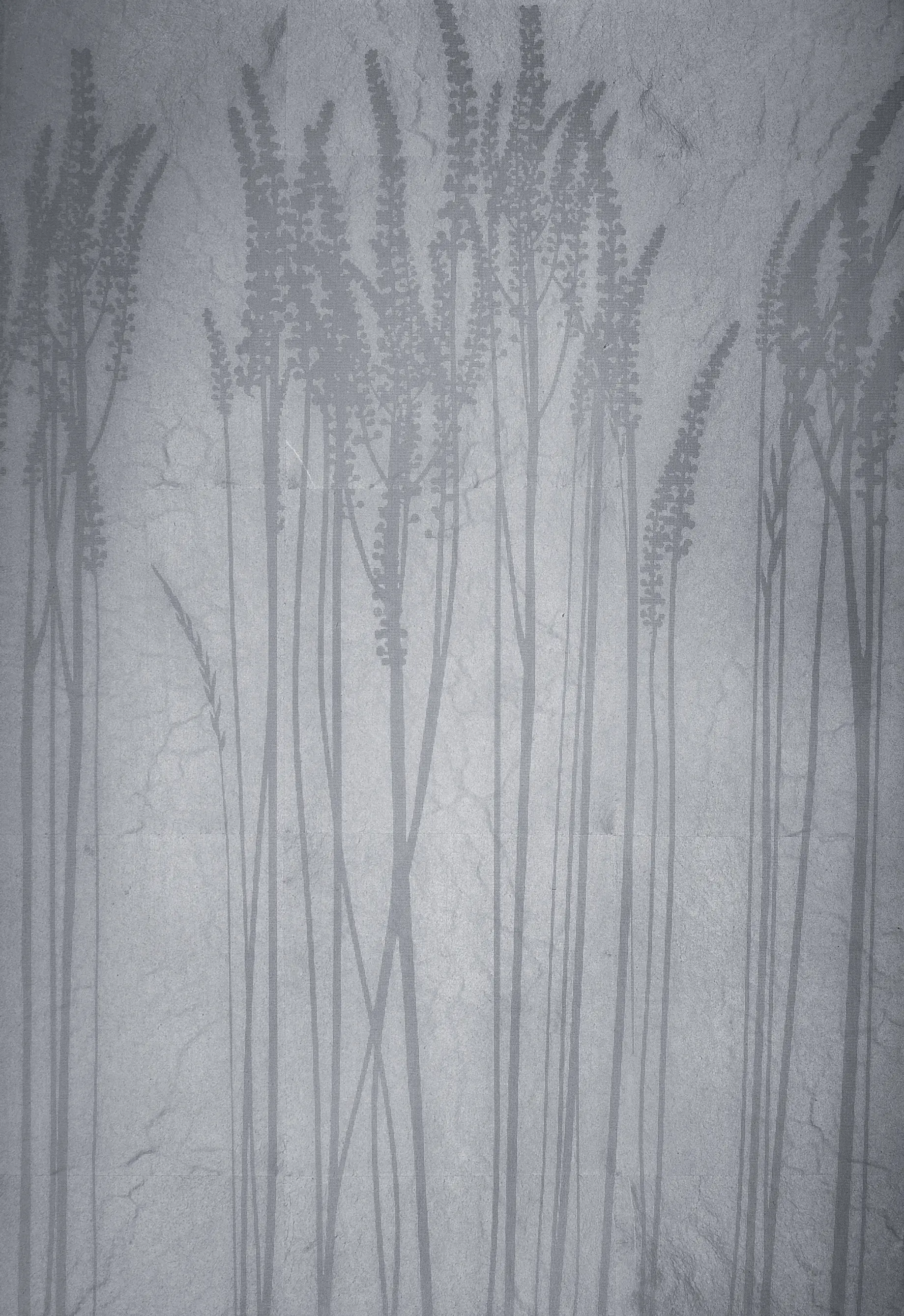 VEROB - Leaf metal allocation | grasses