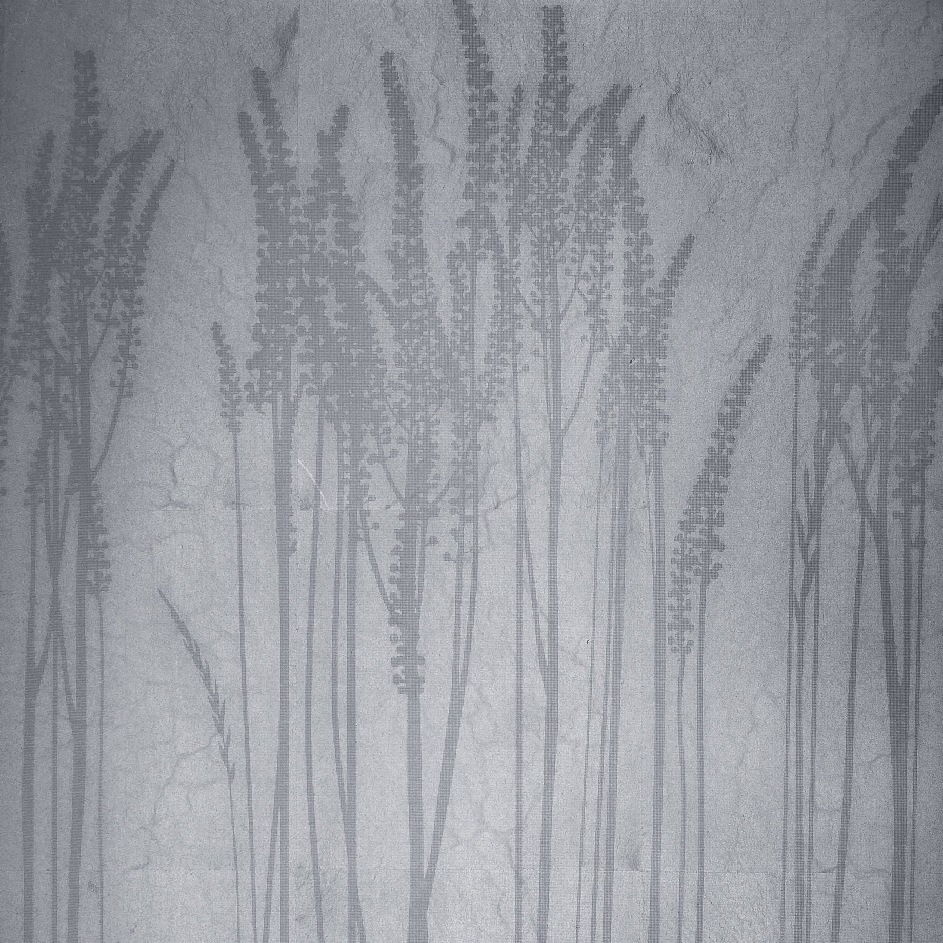 Display product Leaf metal allocation | grasses from manufacturer VEROB