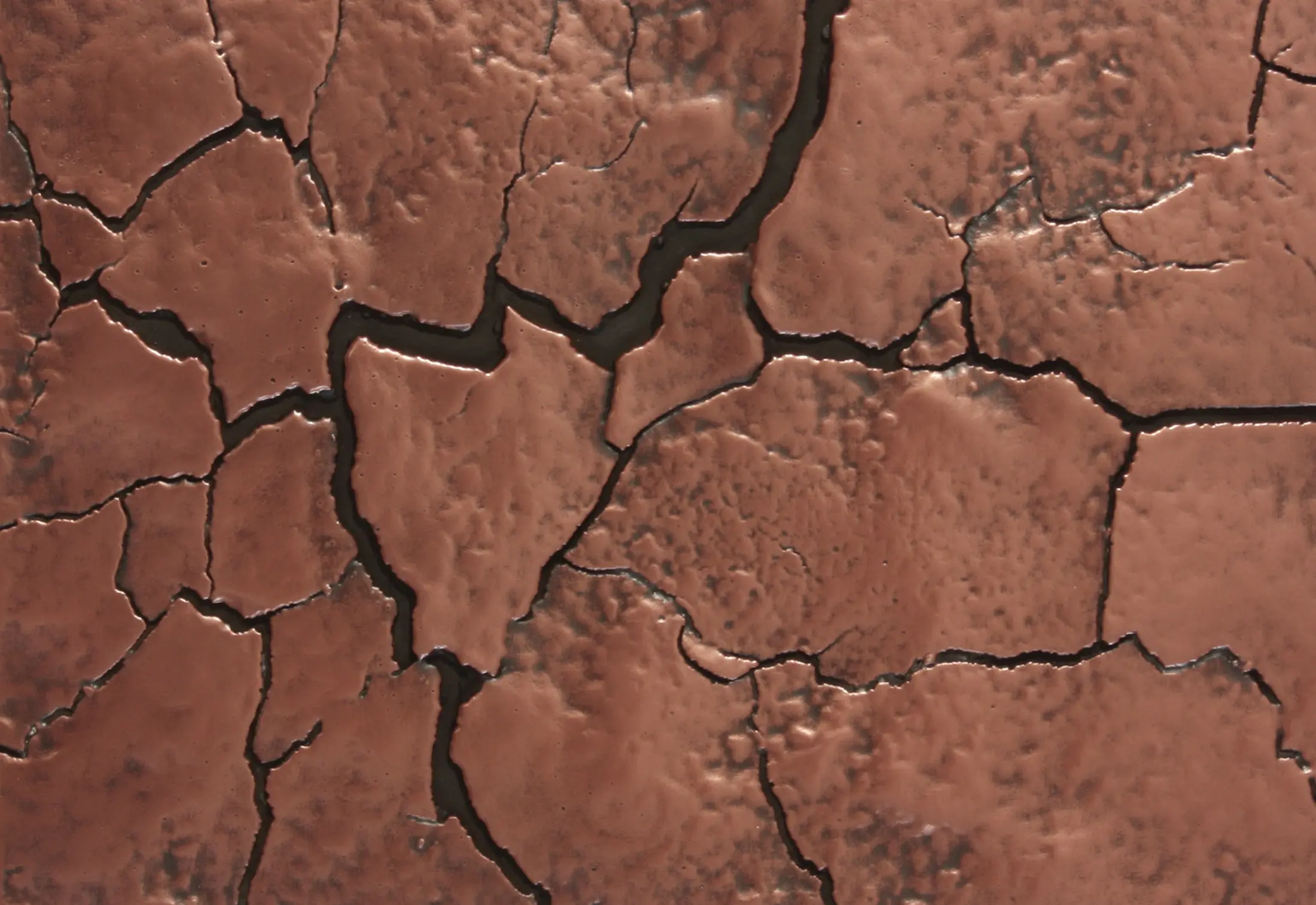 VEROB - Texture | drying cracks