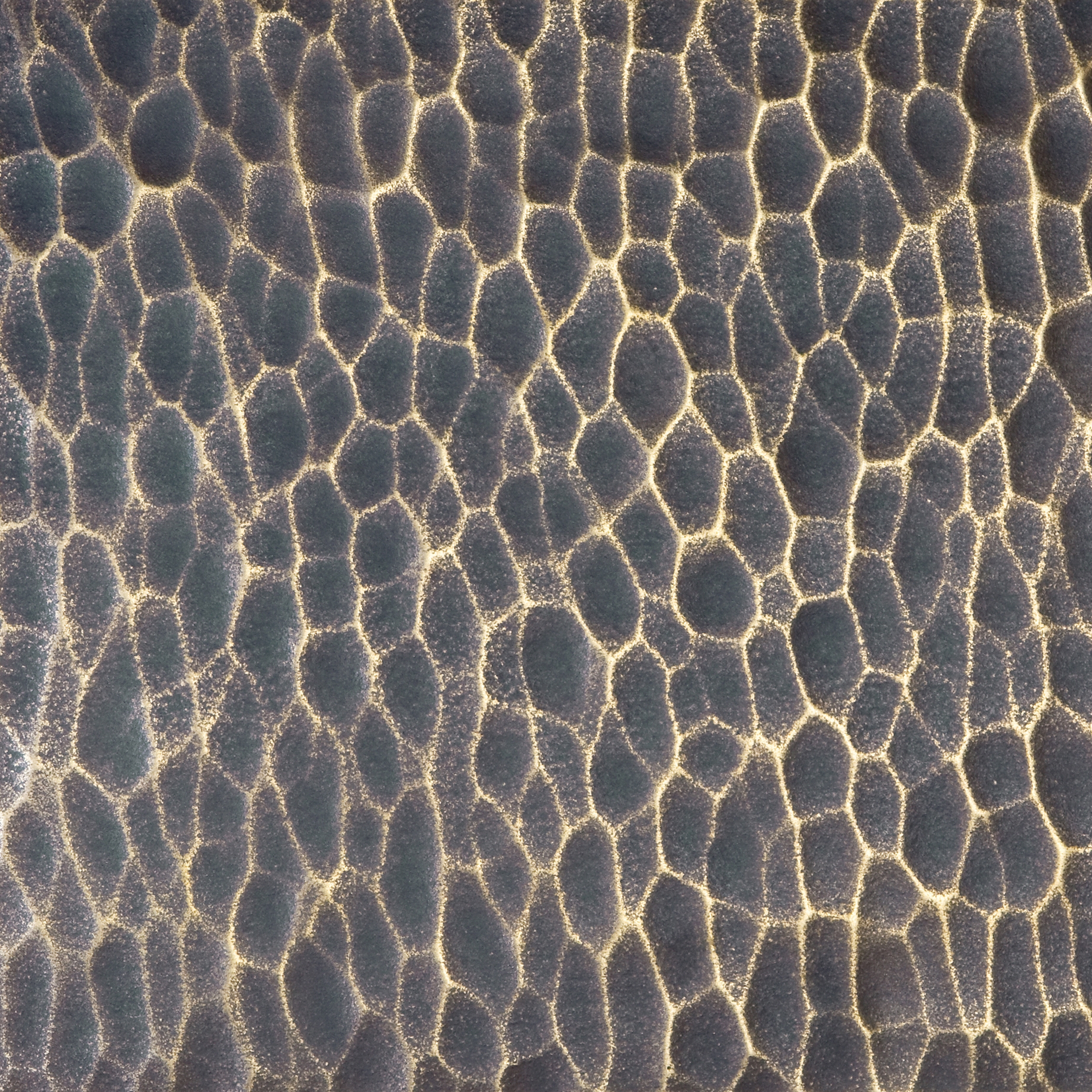 Display product Texture | notches from manufacturer VEROB