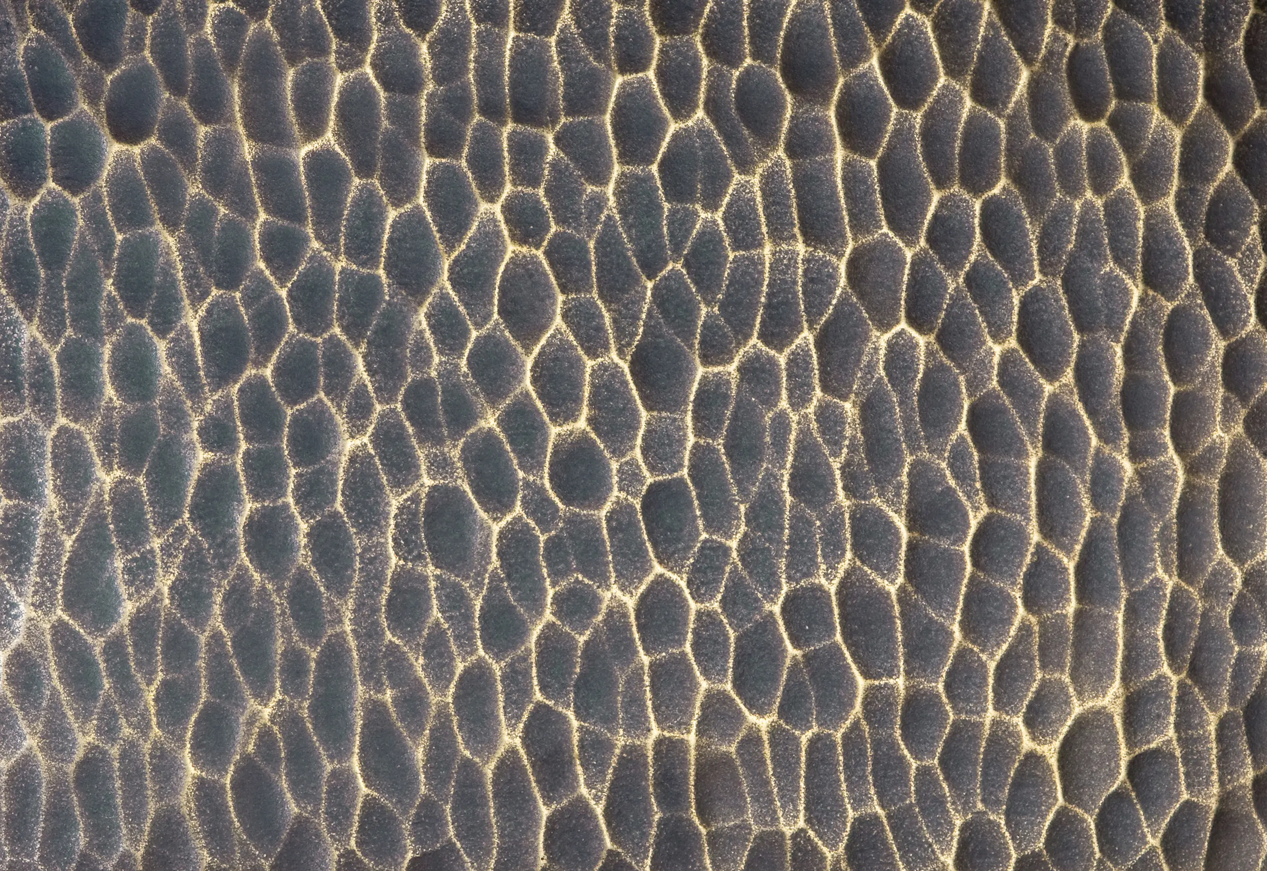 VEROB - Texture | notches
