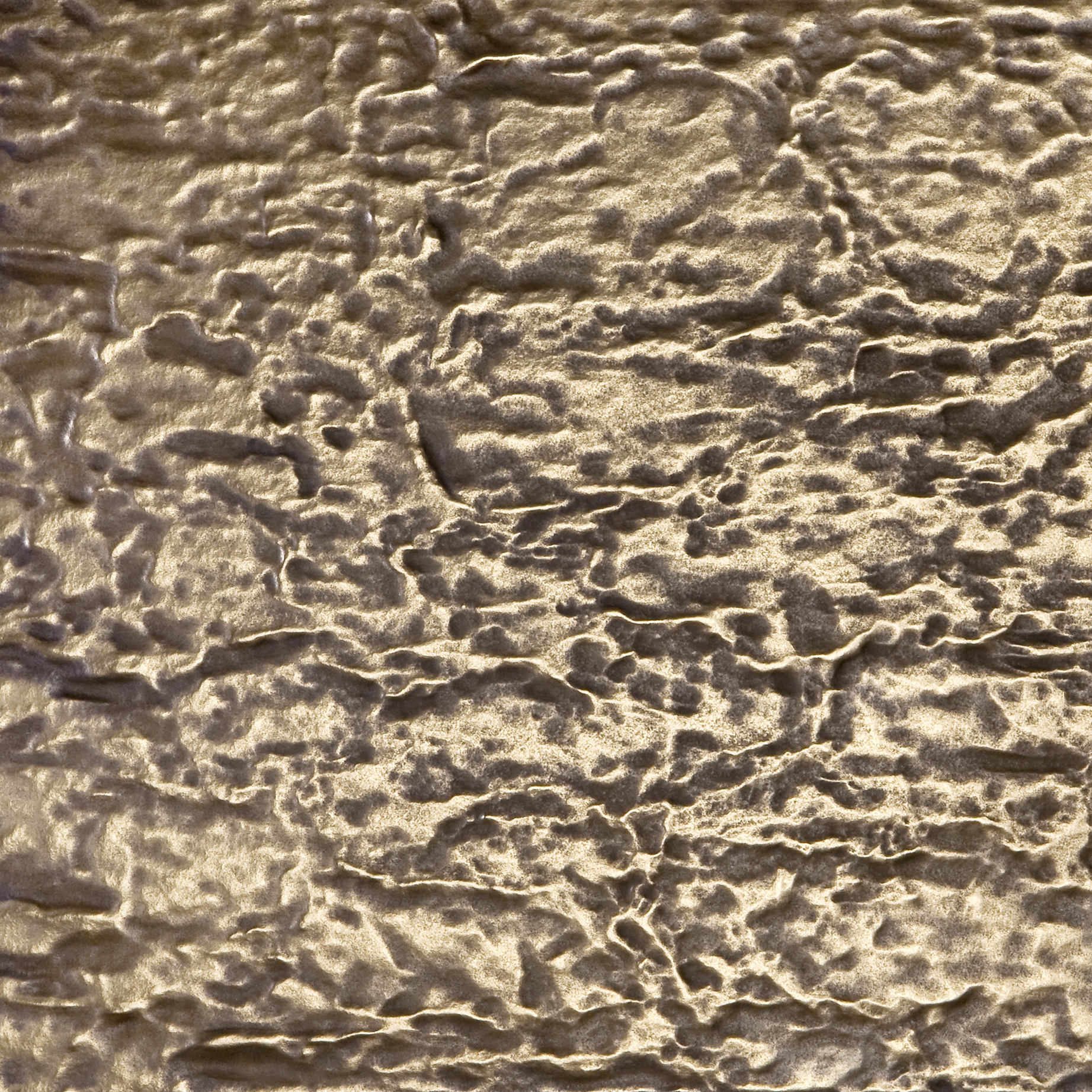 Mostra il prodotto Metallization | veil/H del produttore VEROB