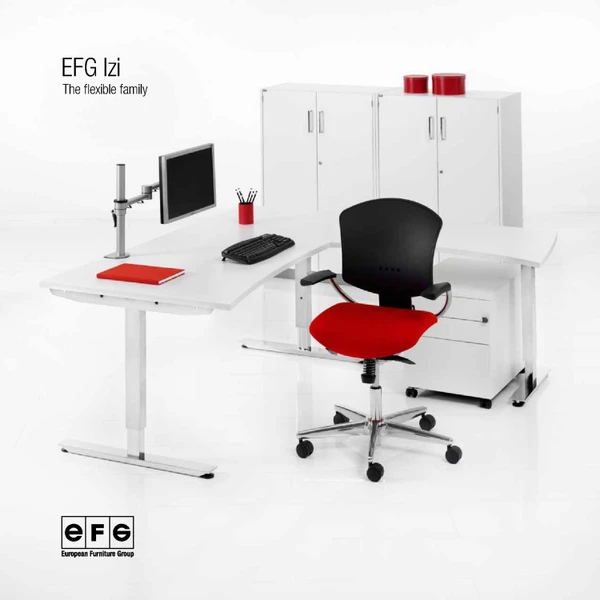 Imagen de vista previa del archivo EFG Izi